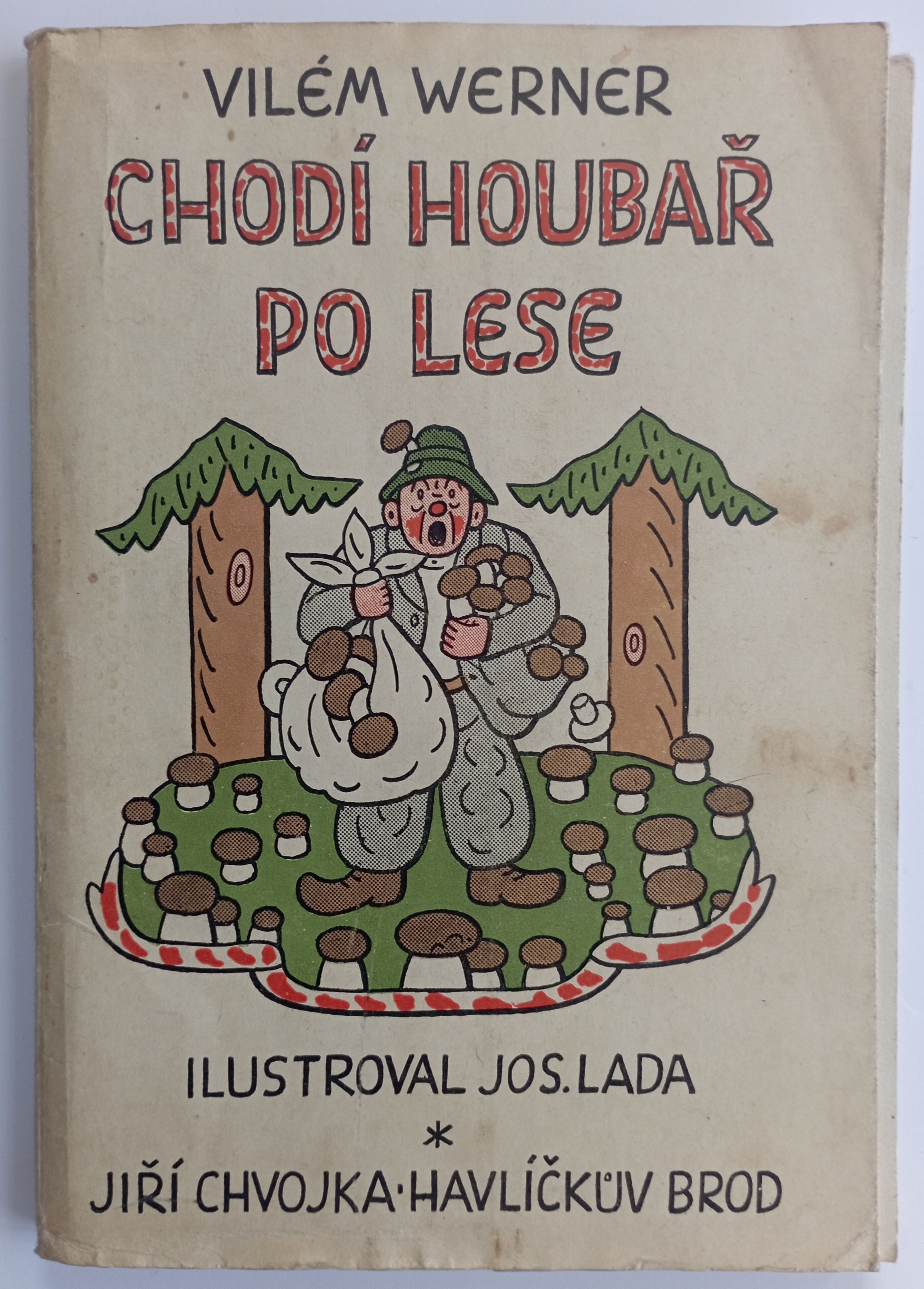 Chodí houbař po lese