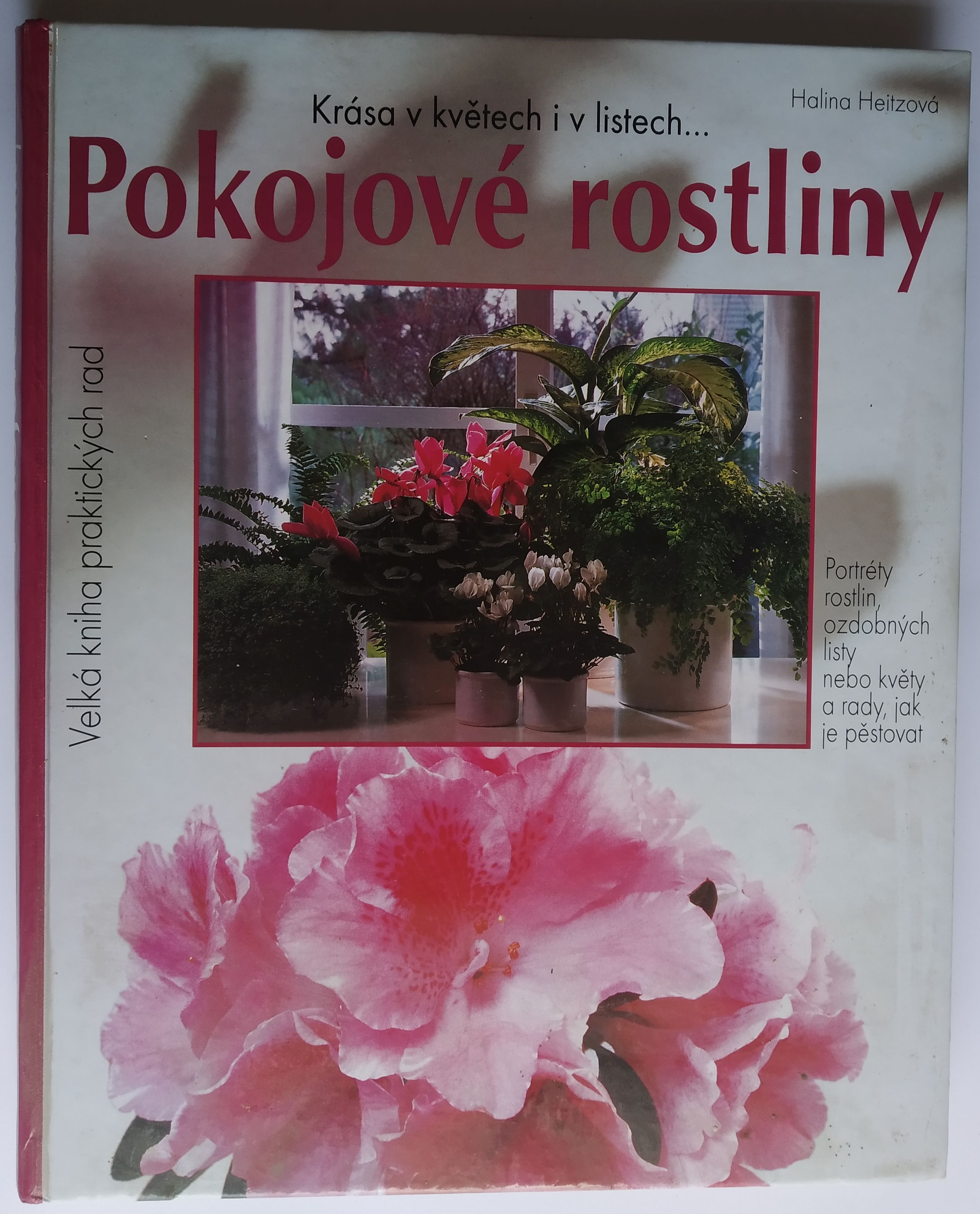 Pokojové rostliny