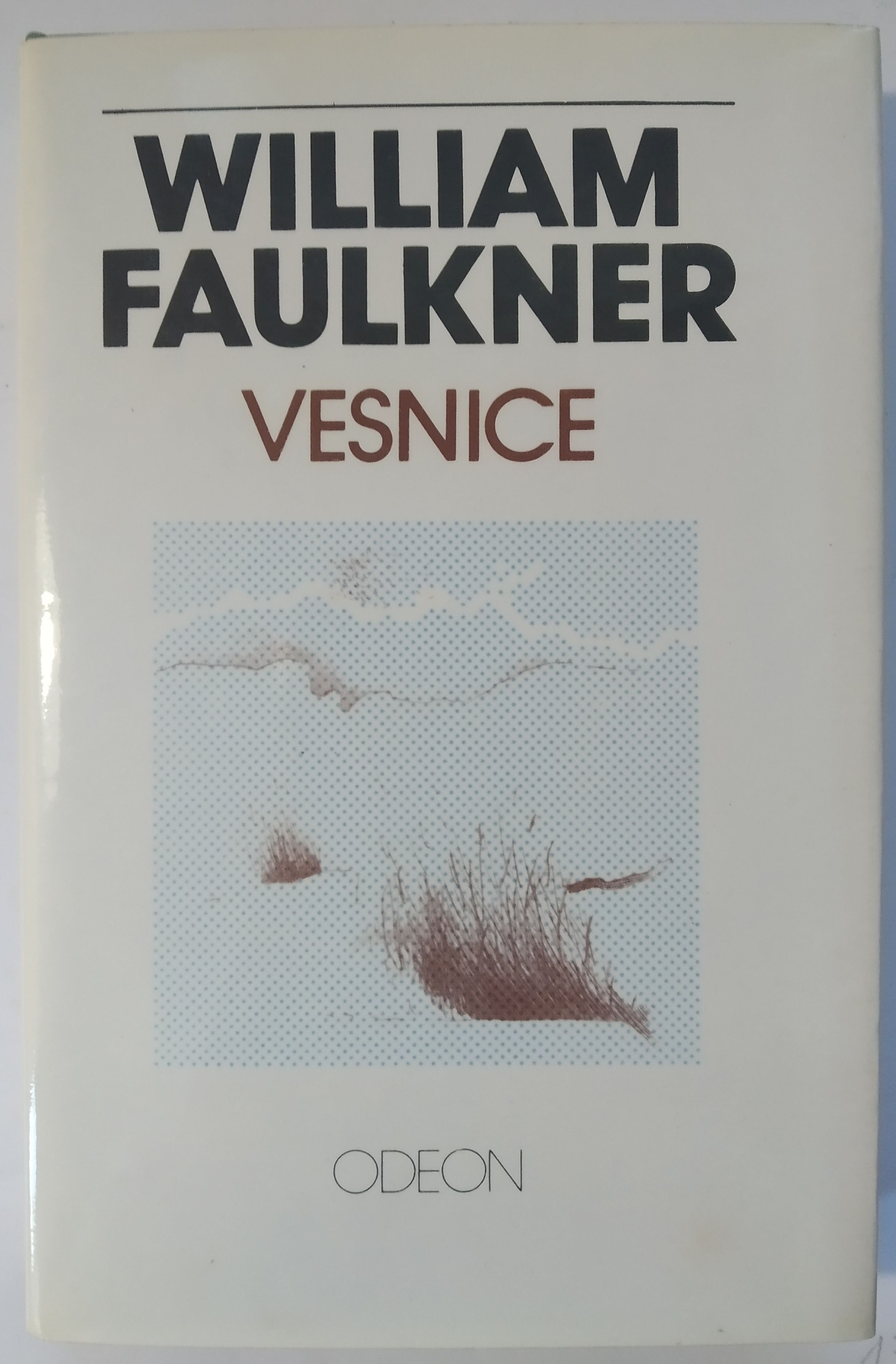 Vesnice