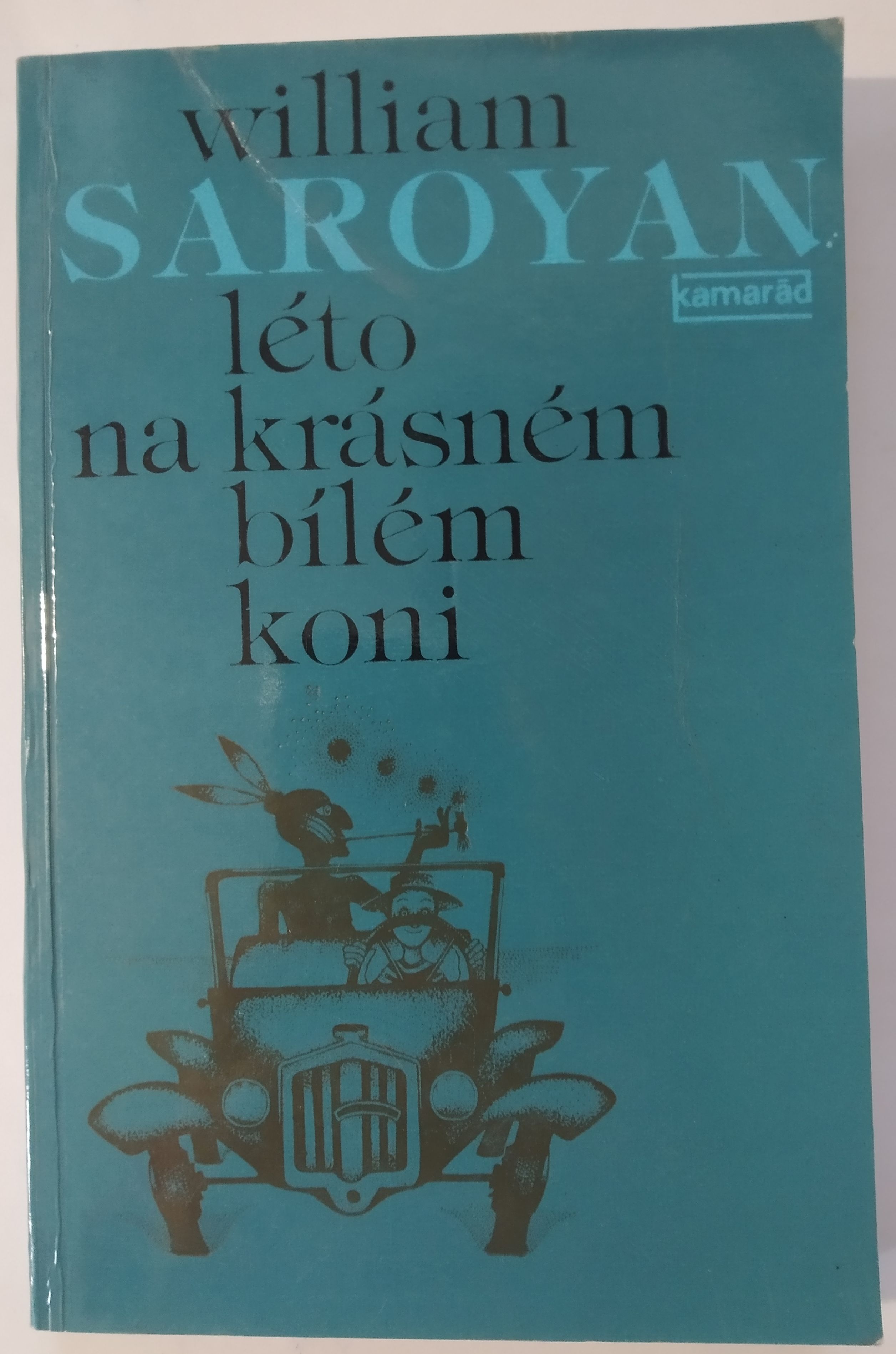 Léto na krásném bílém koni