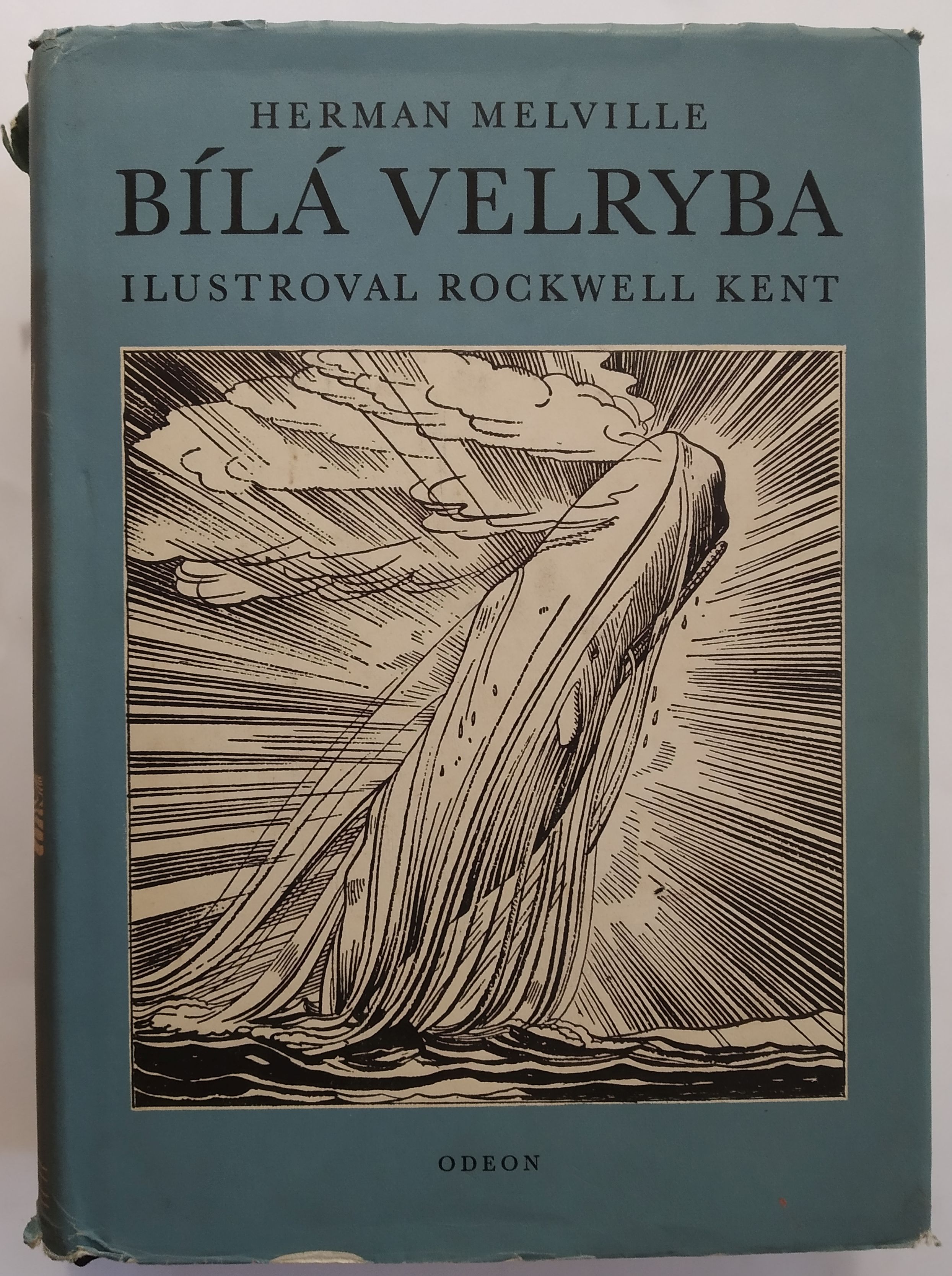 Bílá Velryba