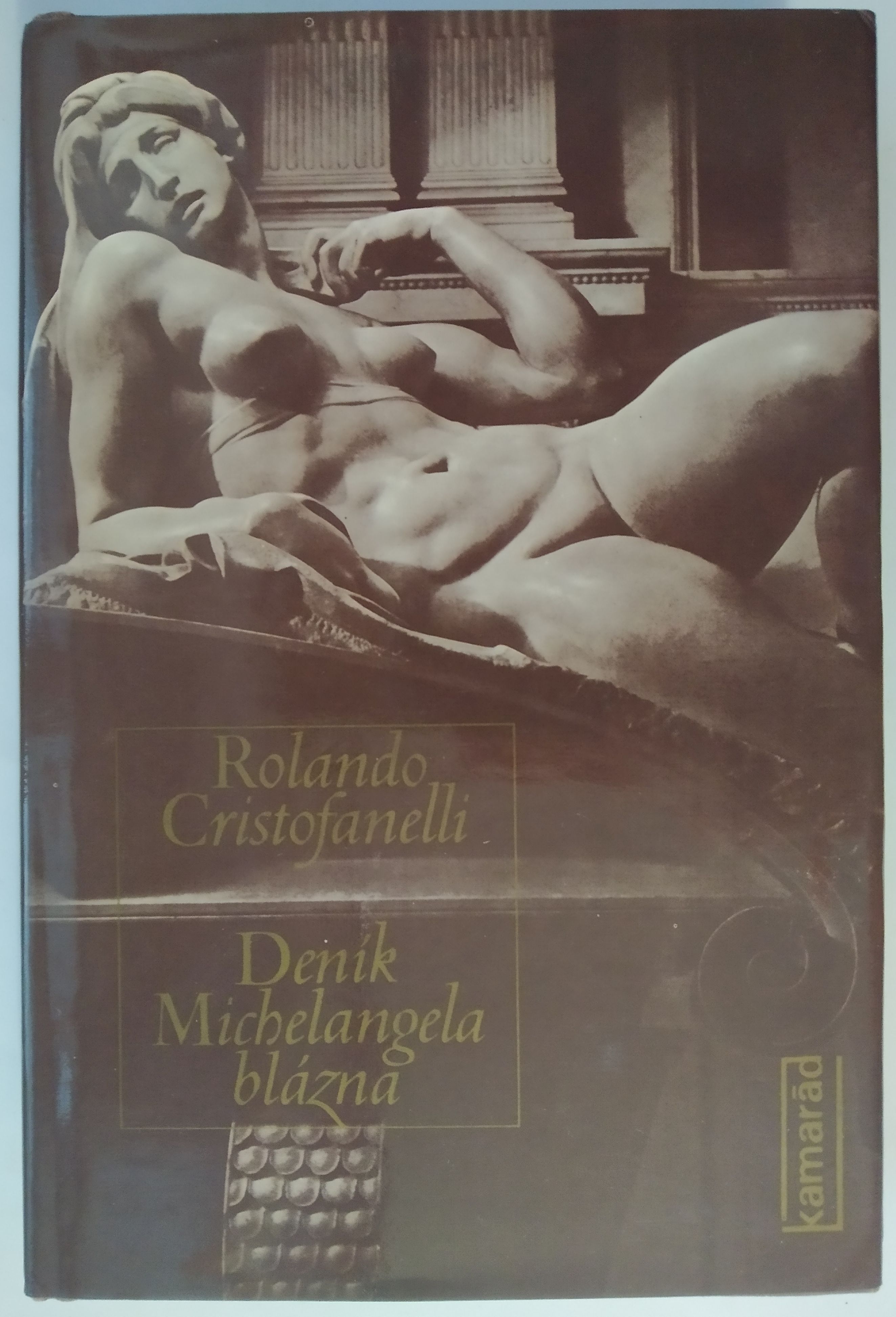 Deník Michelangela blázna
