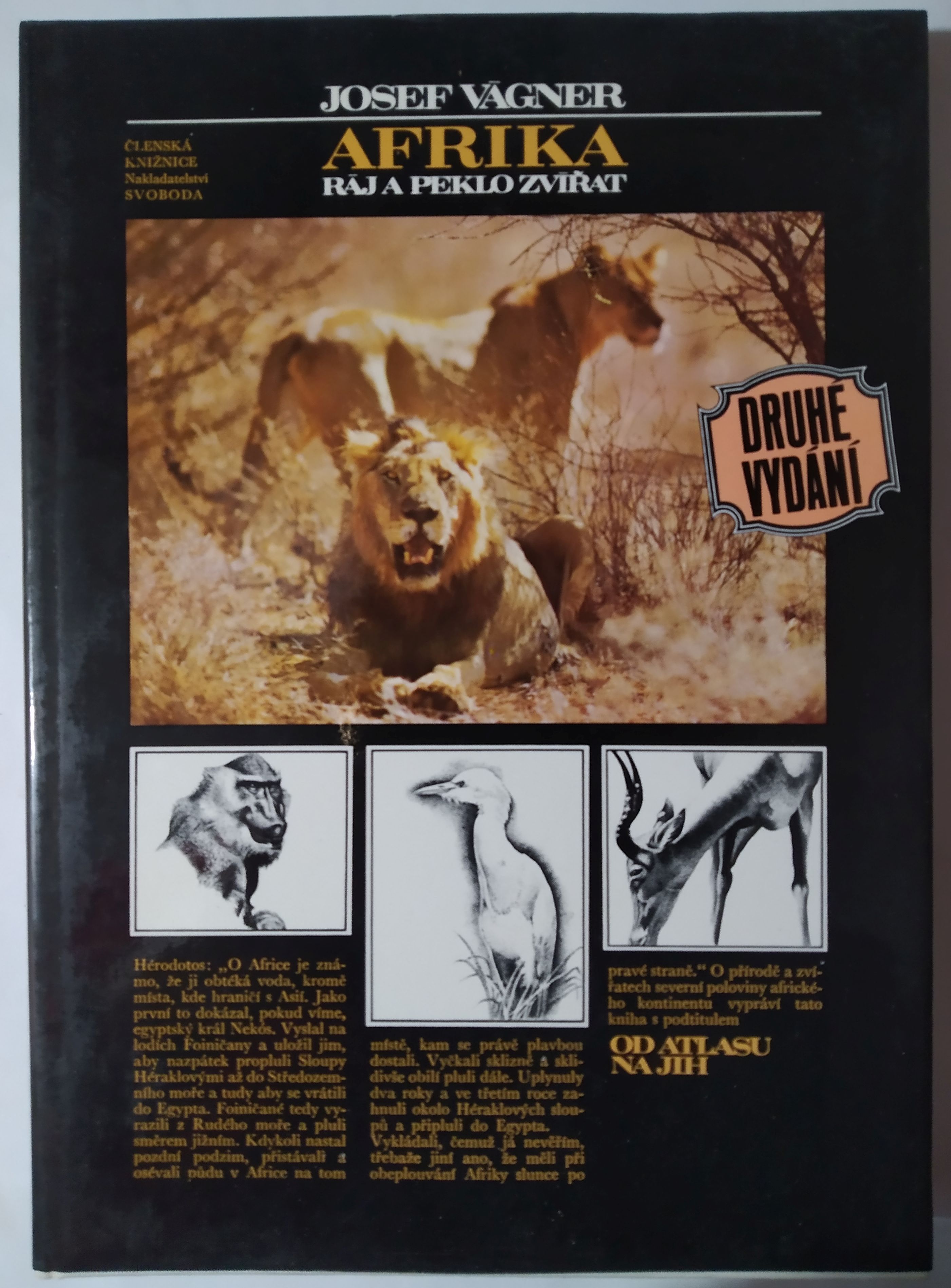 Afrika - Ráj a peklo zvířat