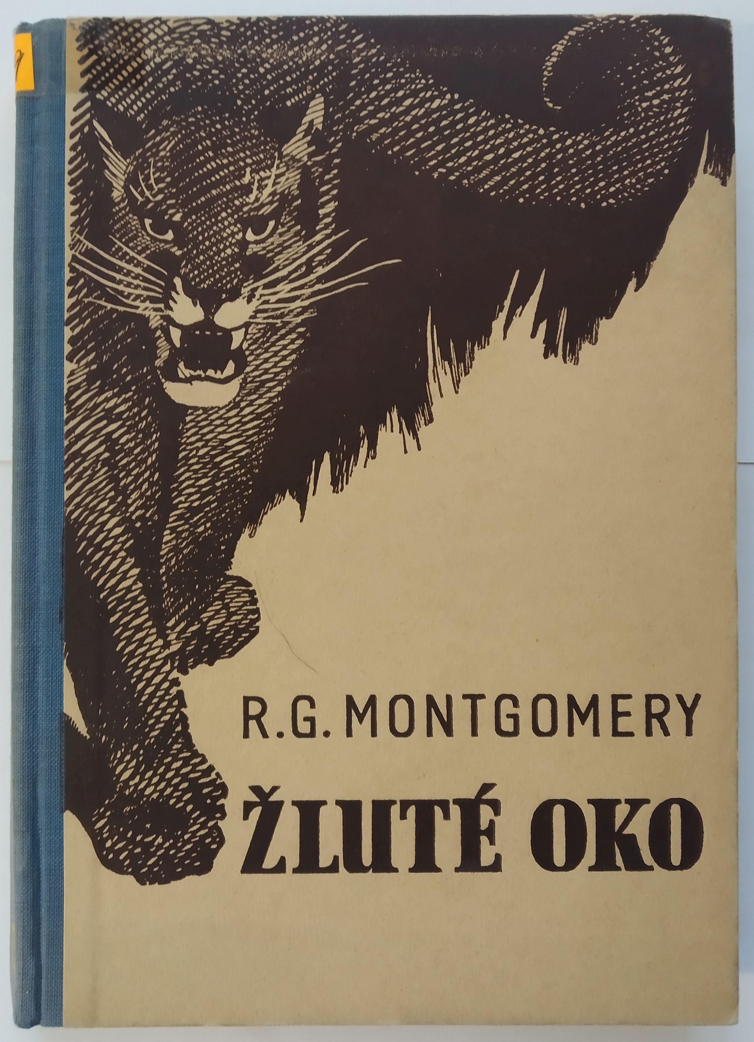 Žluté oko