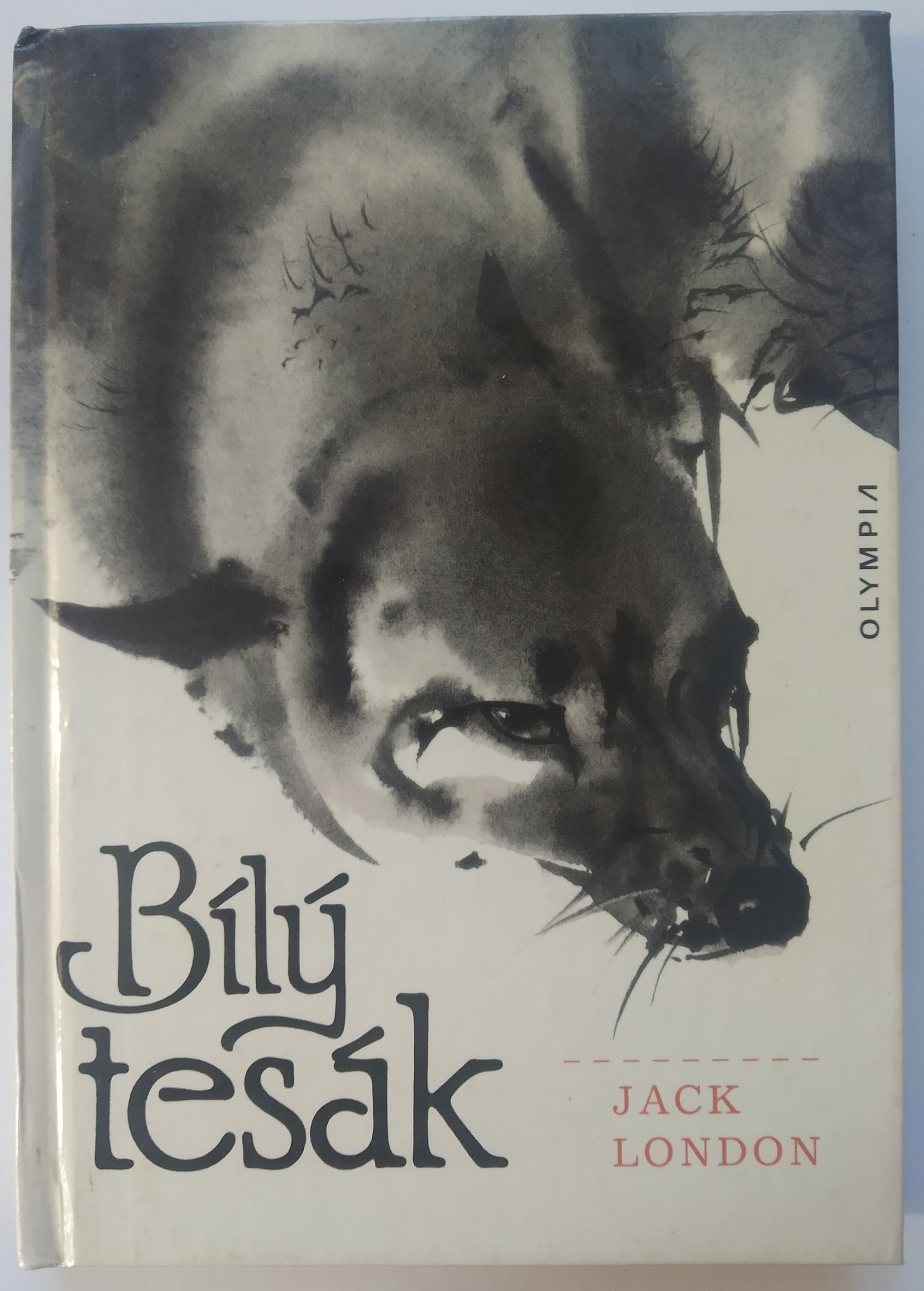 Bílý tesák