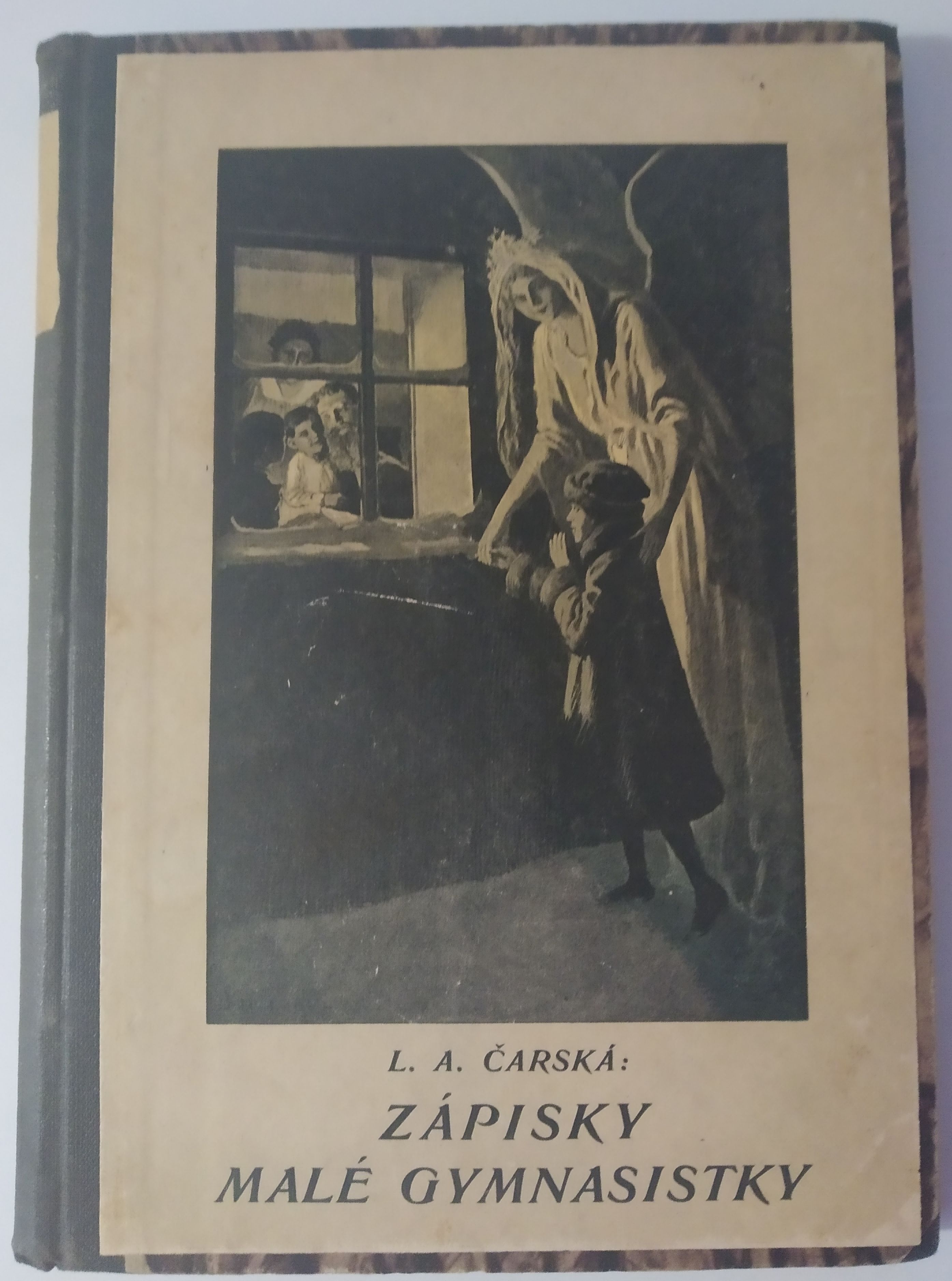 Zápisky malé gymnasistky