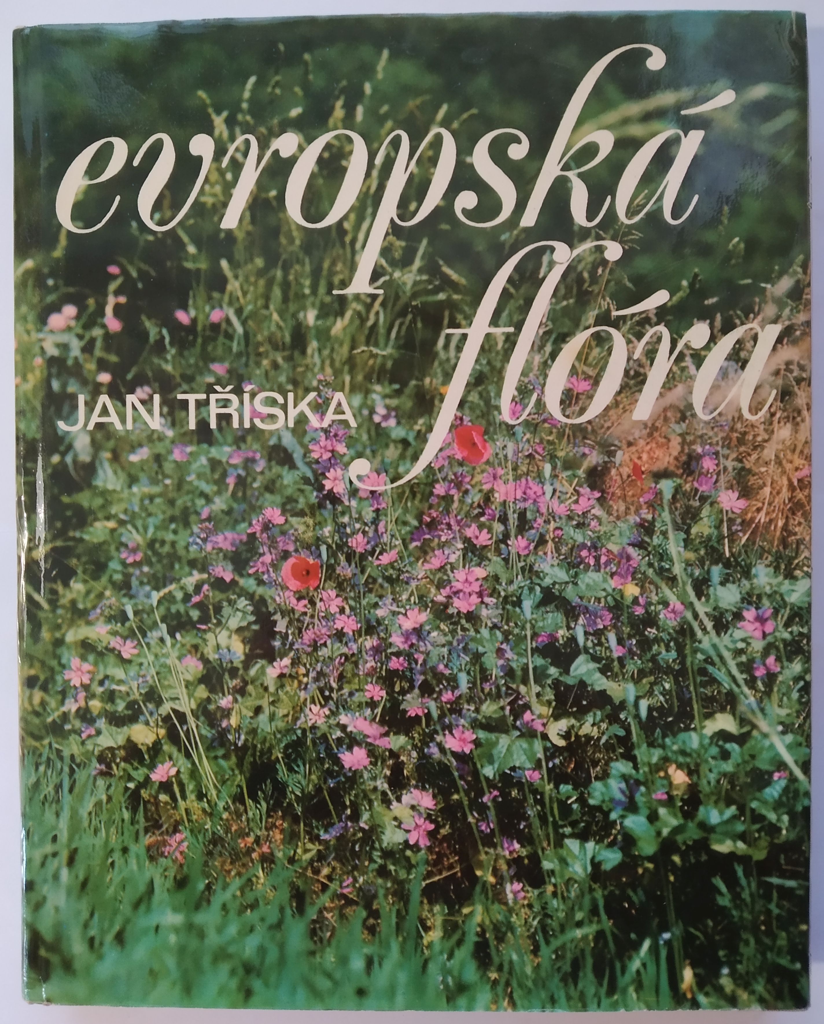 Evropská flóra