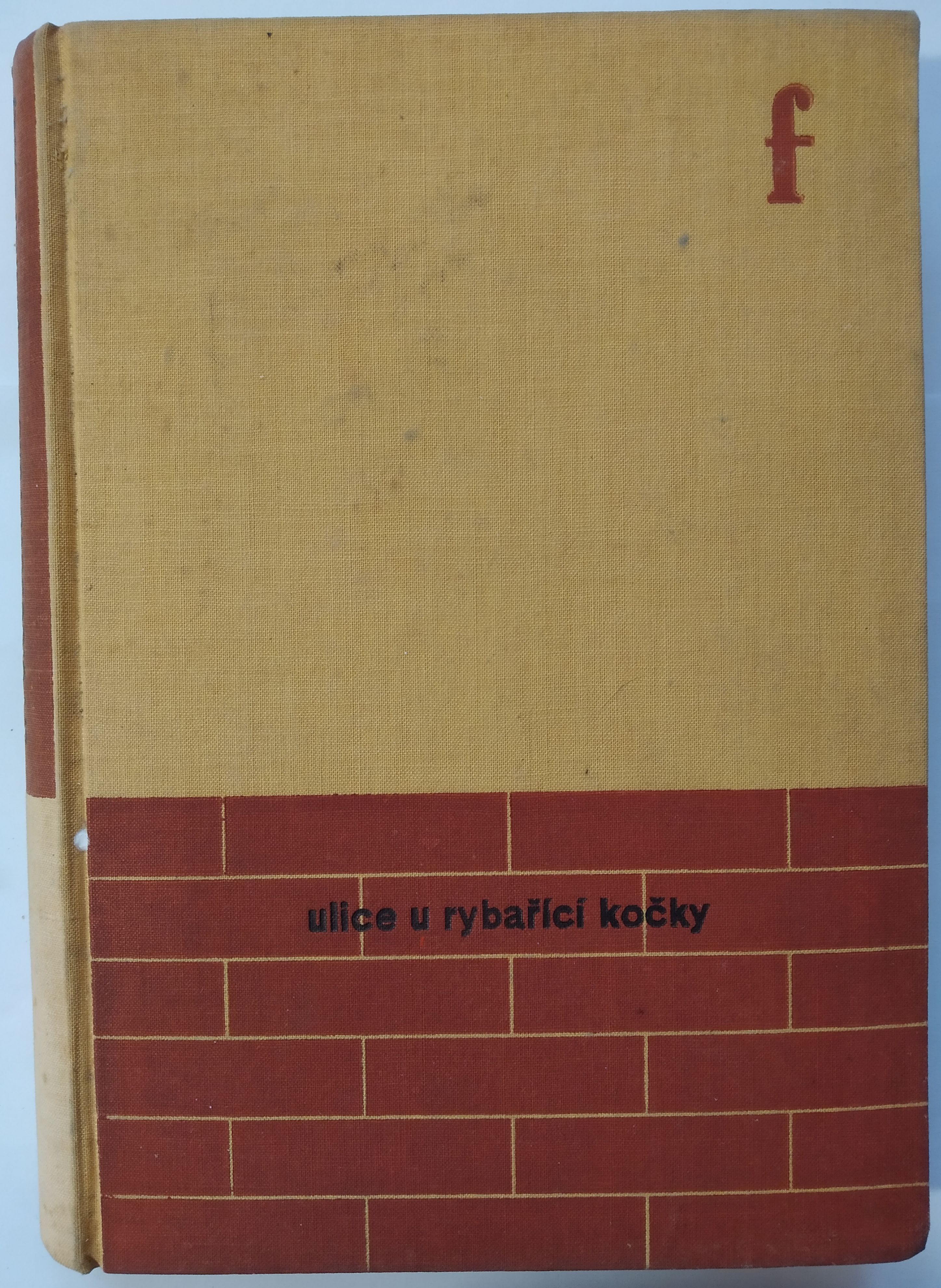 Ulice u rybařící kočky