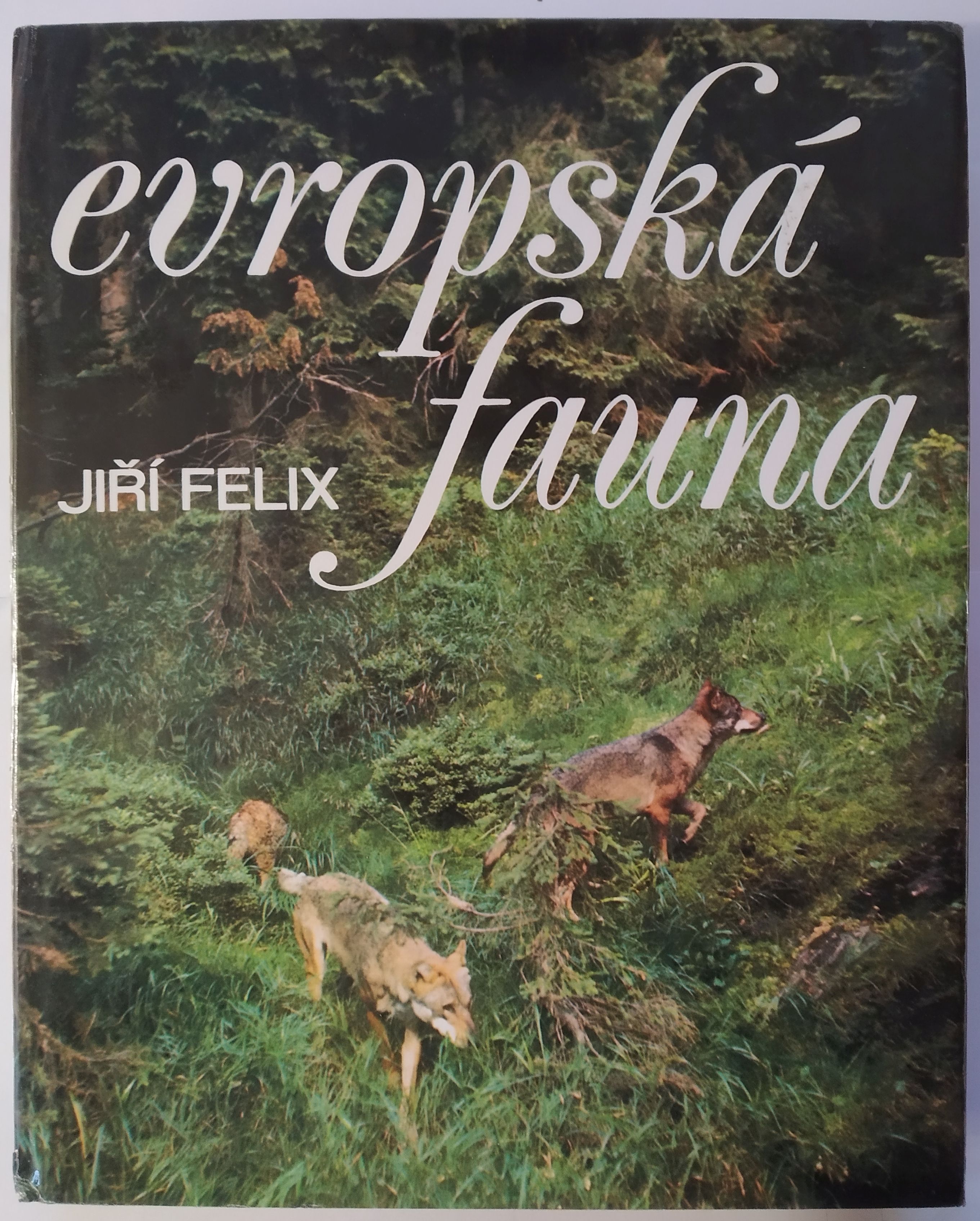 Evropská fauna
