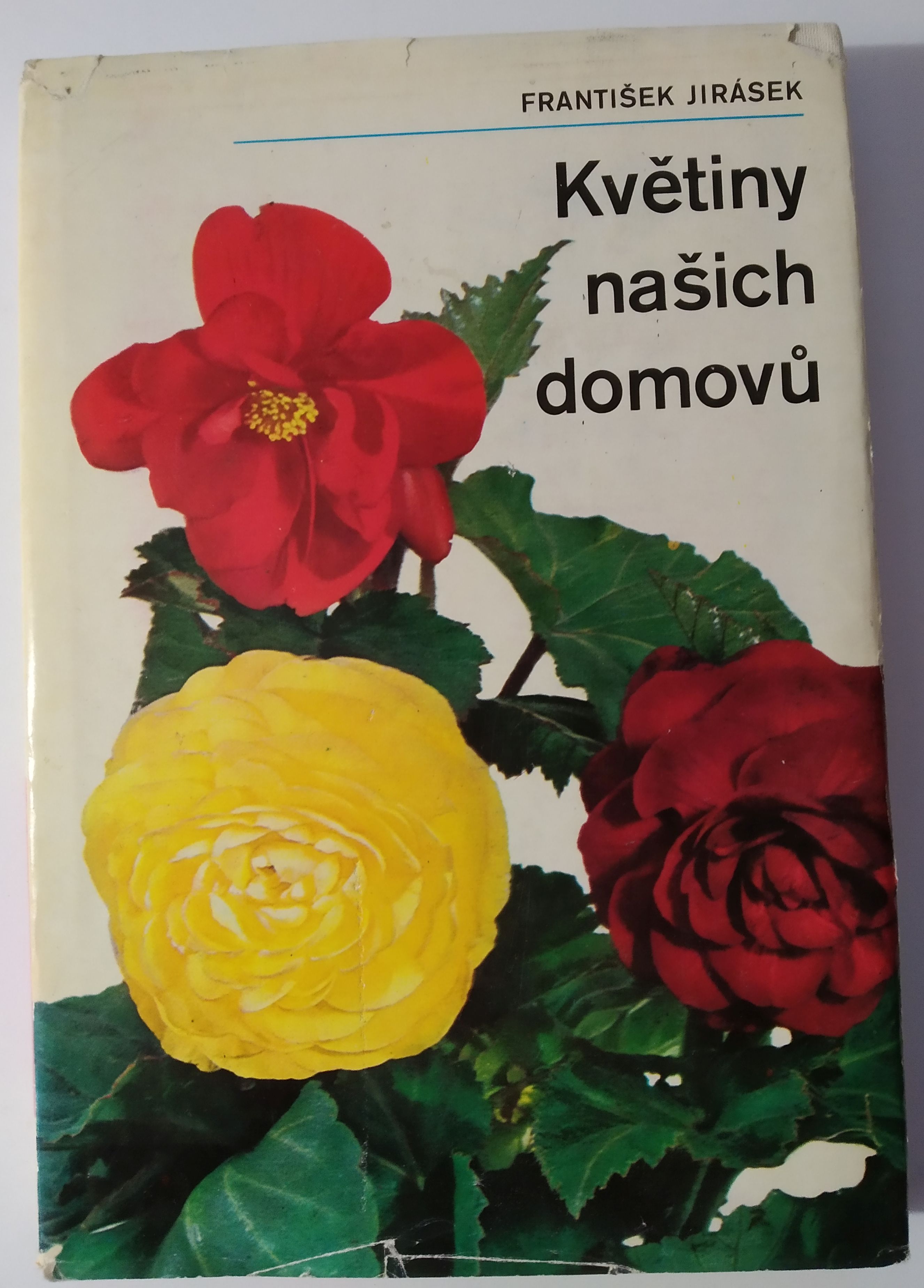 Květiny našich domovů