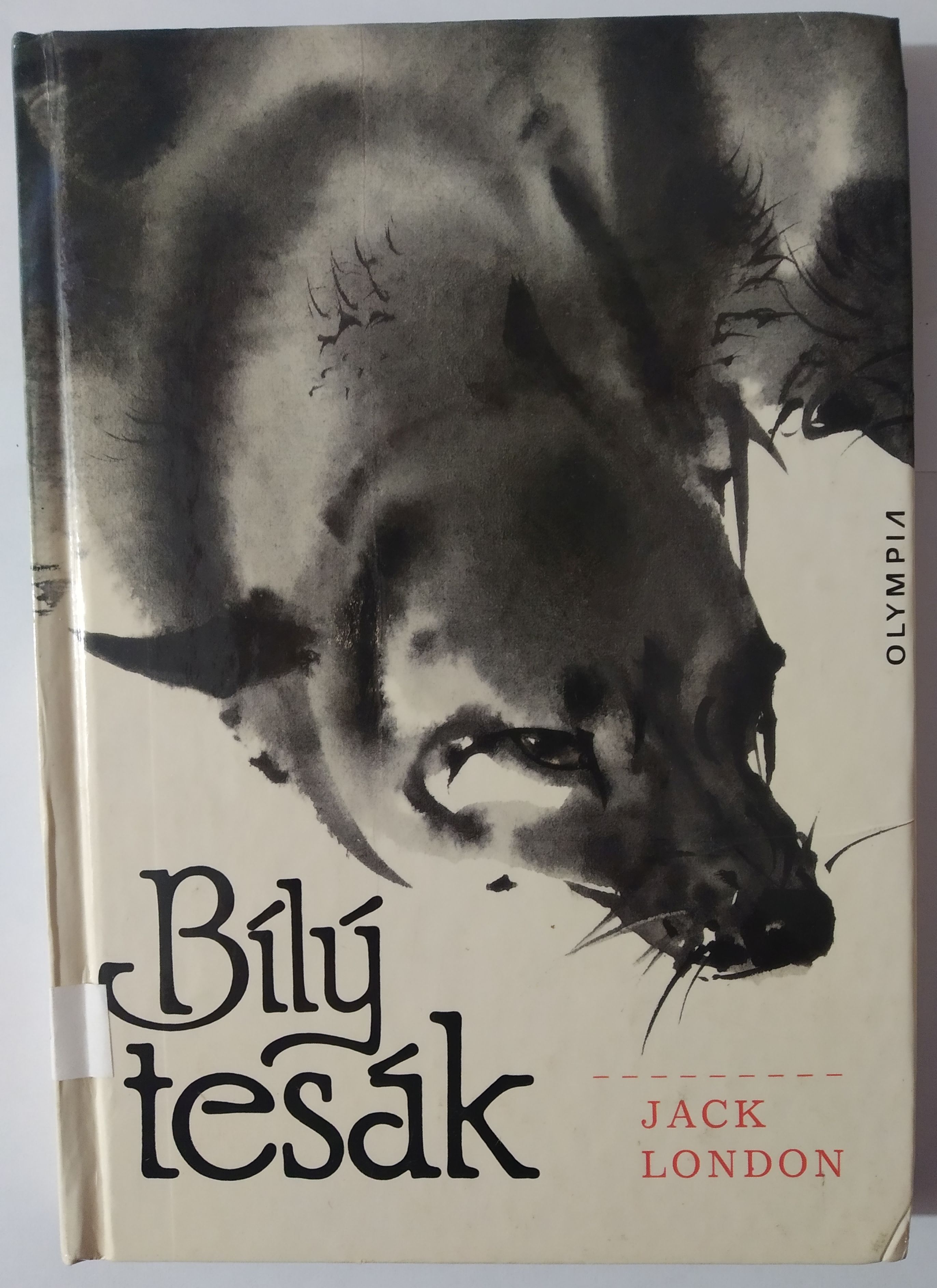 Bílý tesák