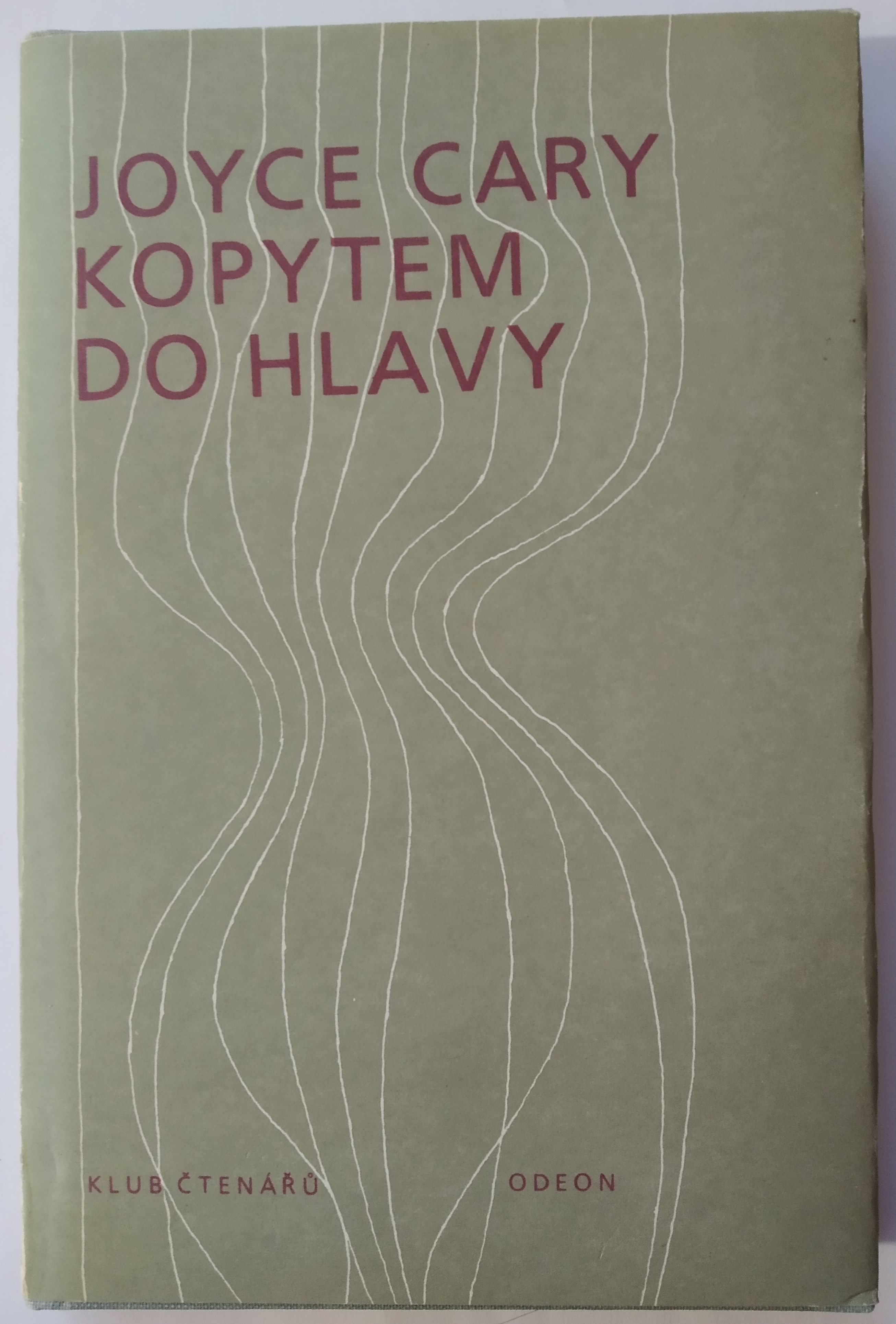 Kopytem do hlavy