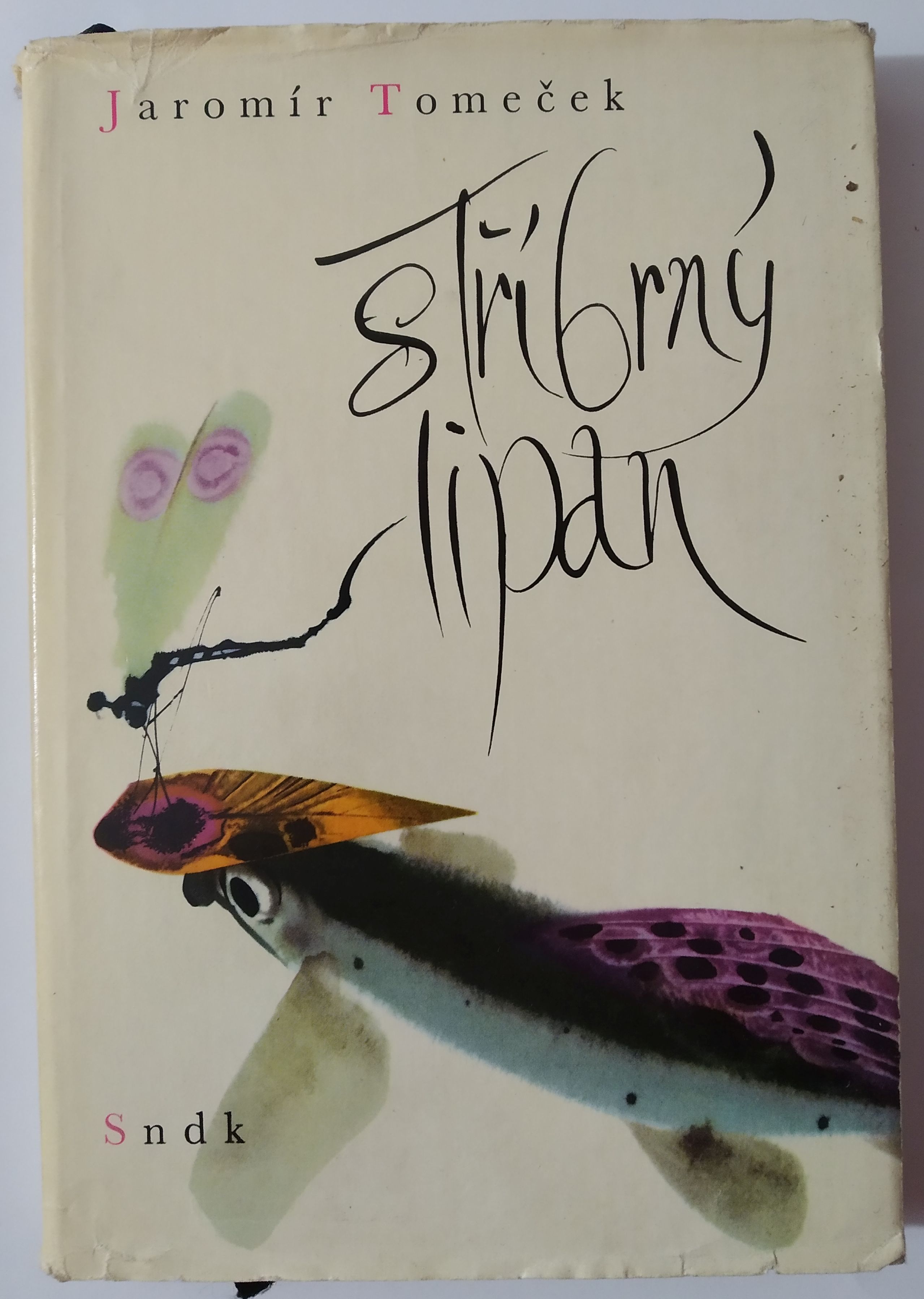 Stříbrný lipan