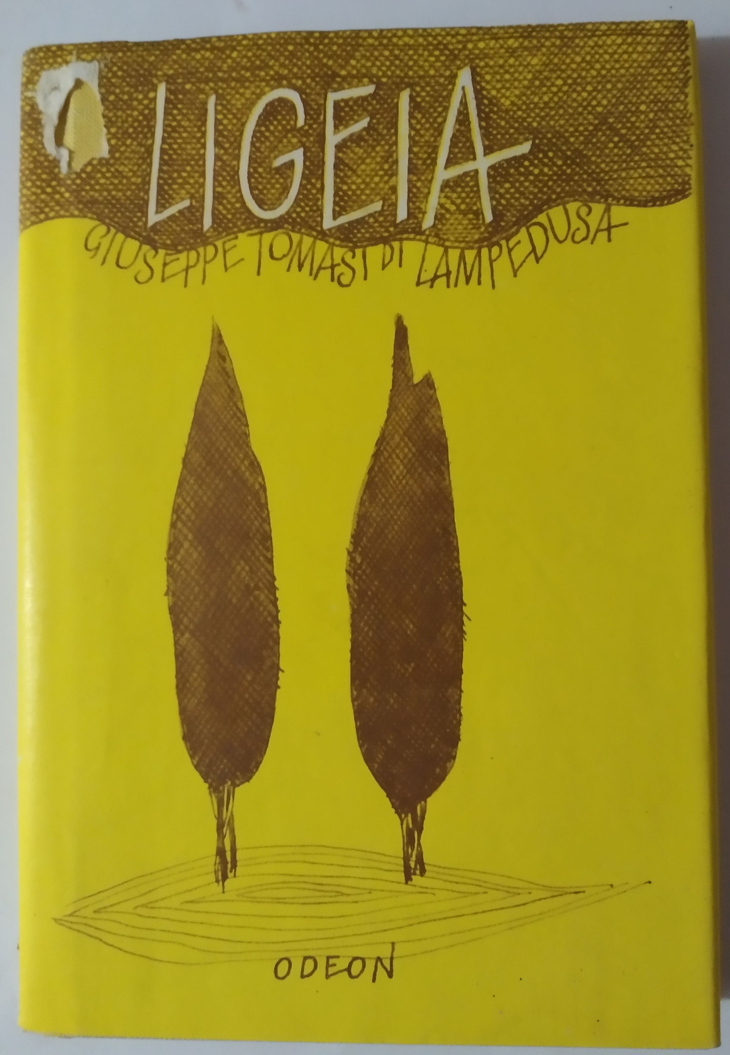 Ligeia a jiné prózy