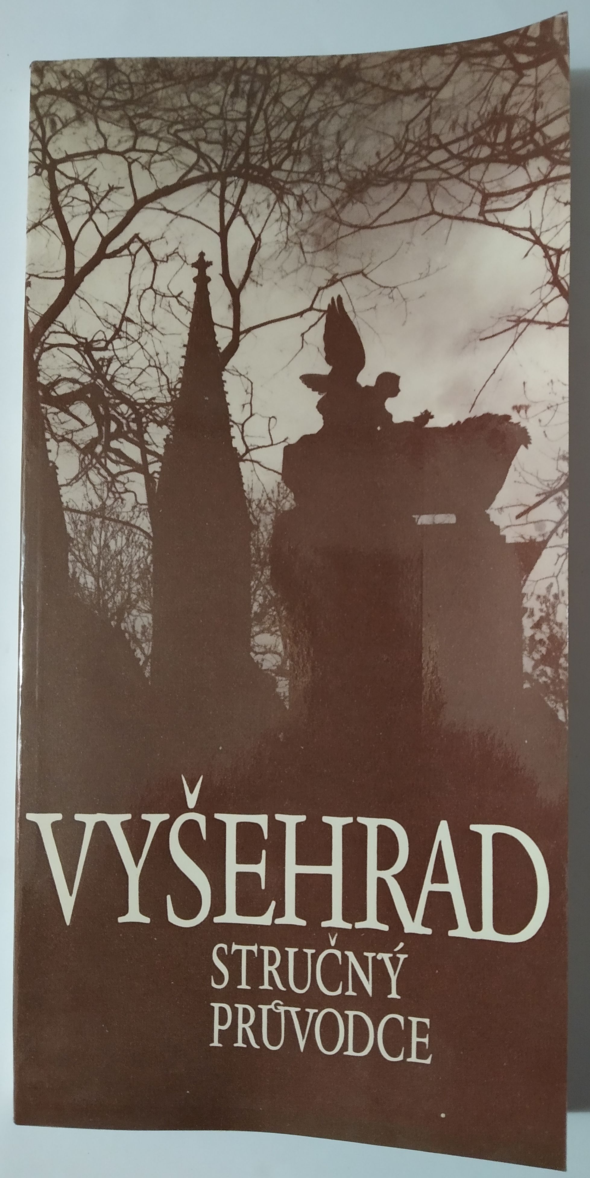 Vyšehrad - stručný průvodce