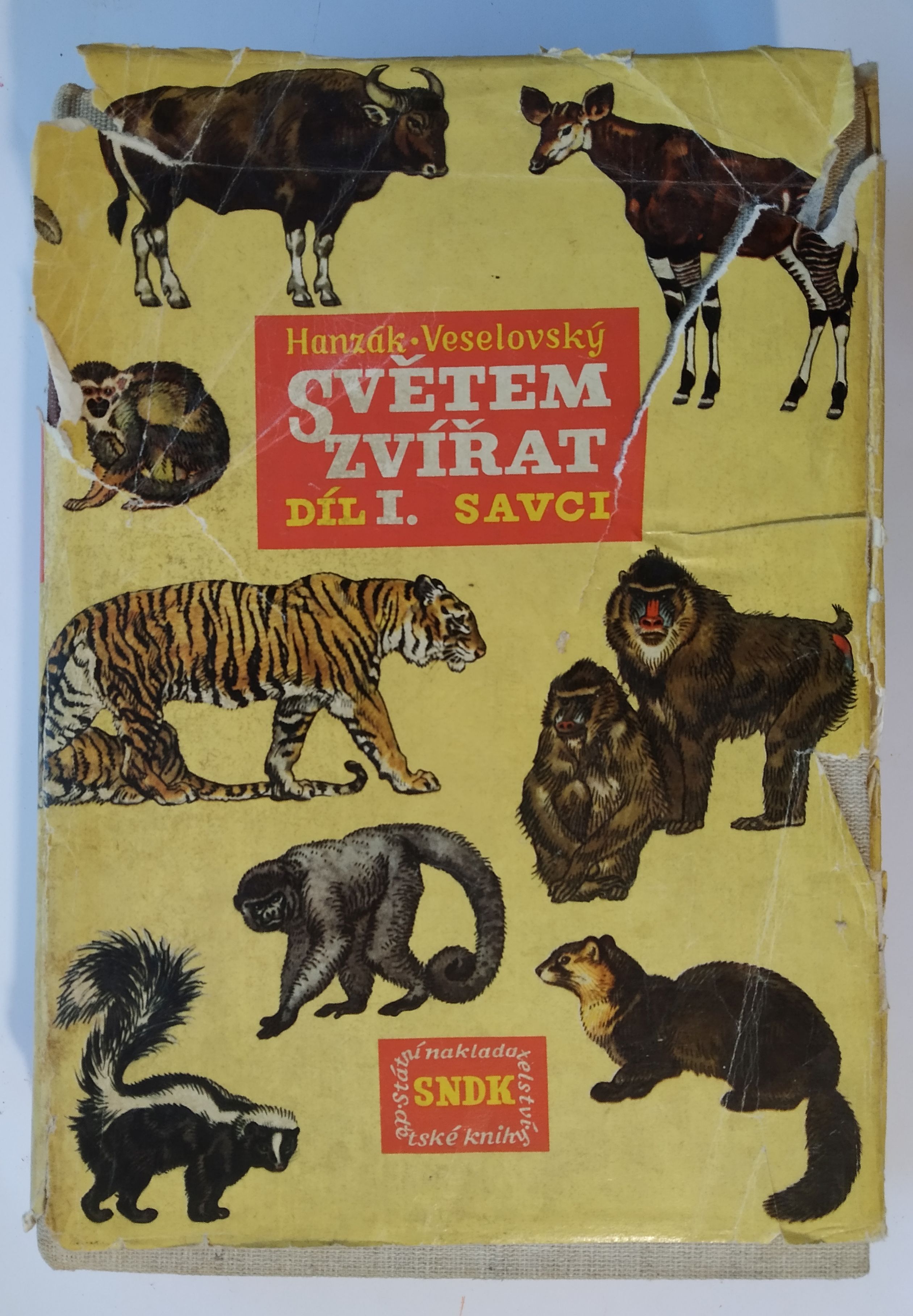 Světem zvířat - díl I. Savci