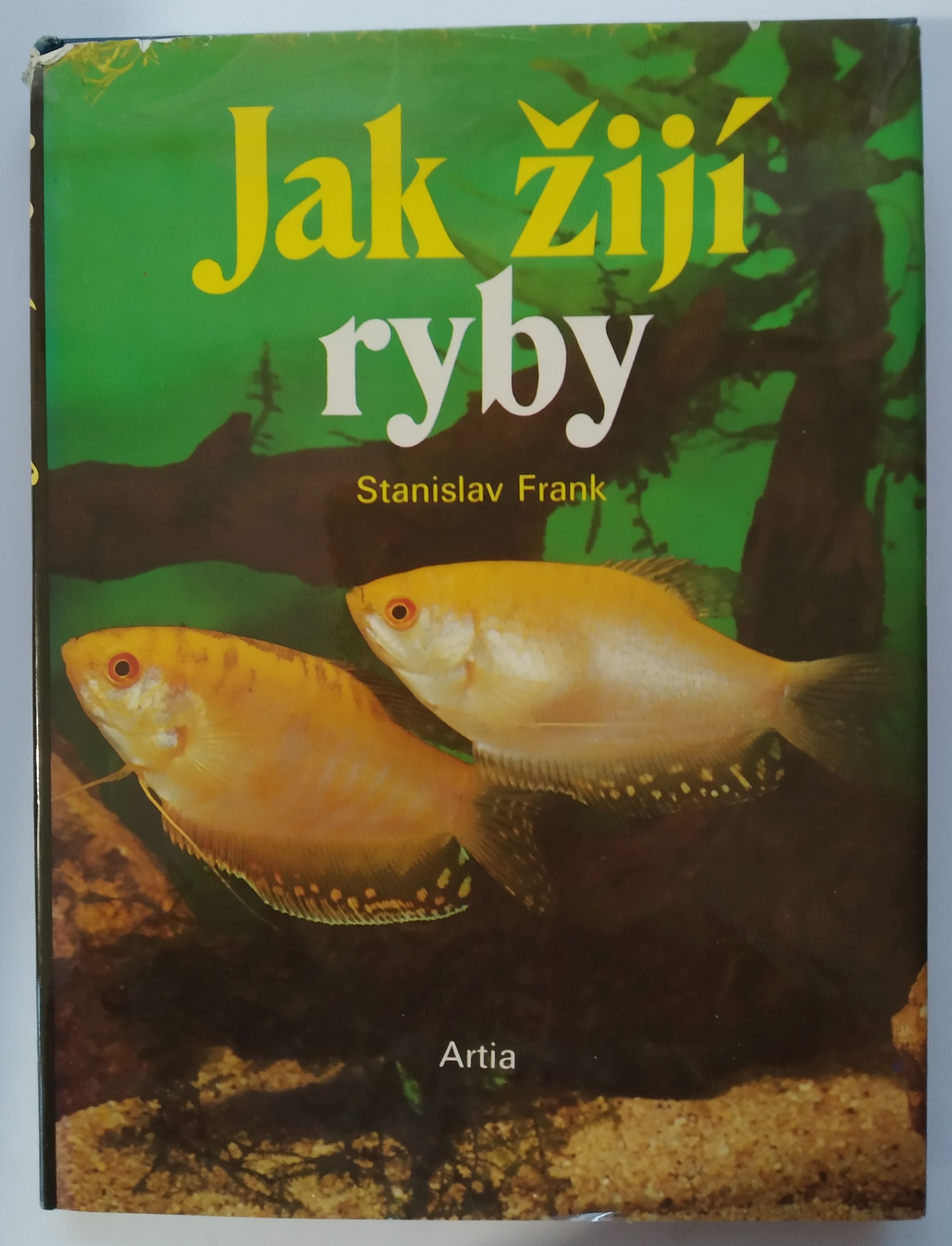 Jak žijí ryby