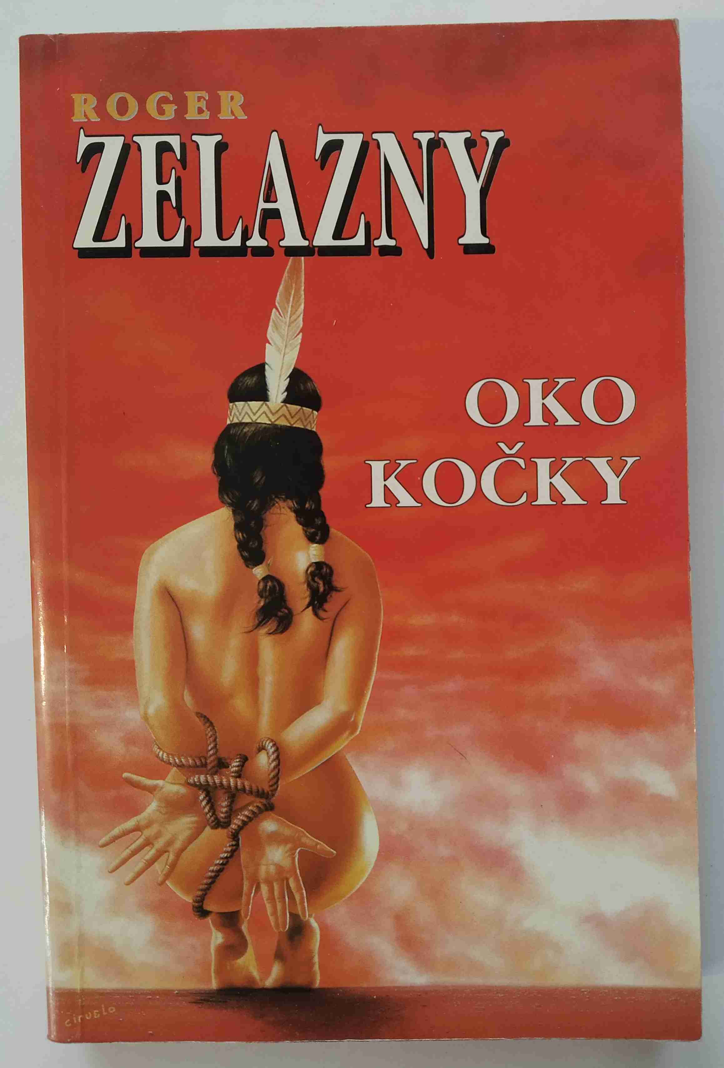 Oko kočky