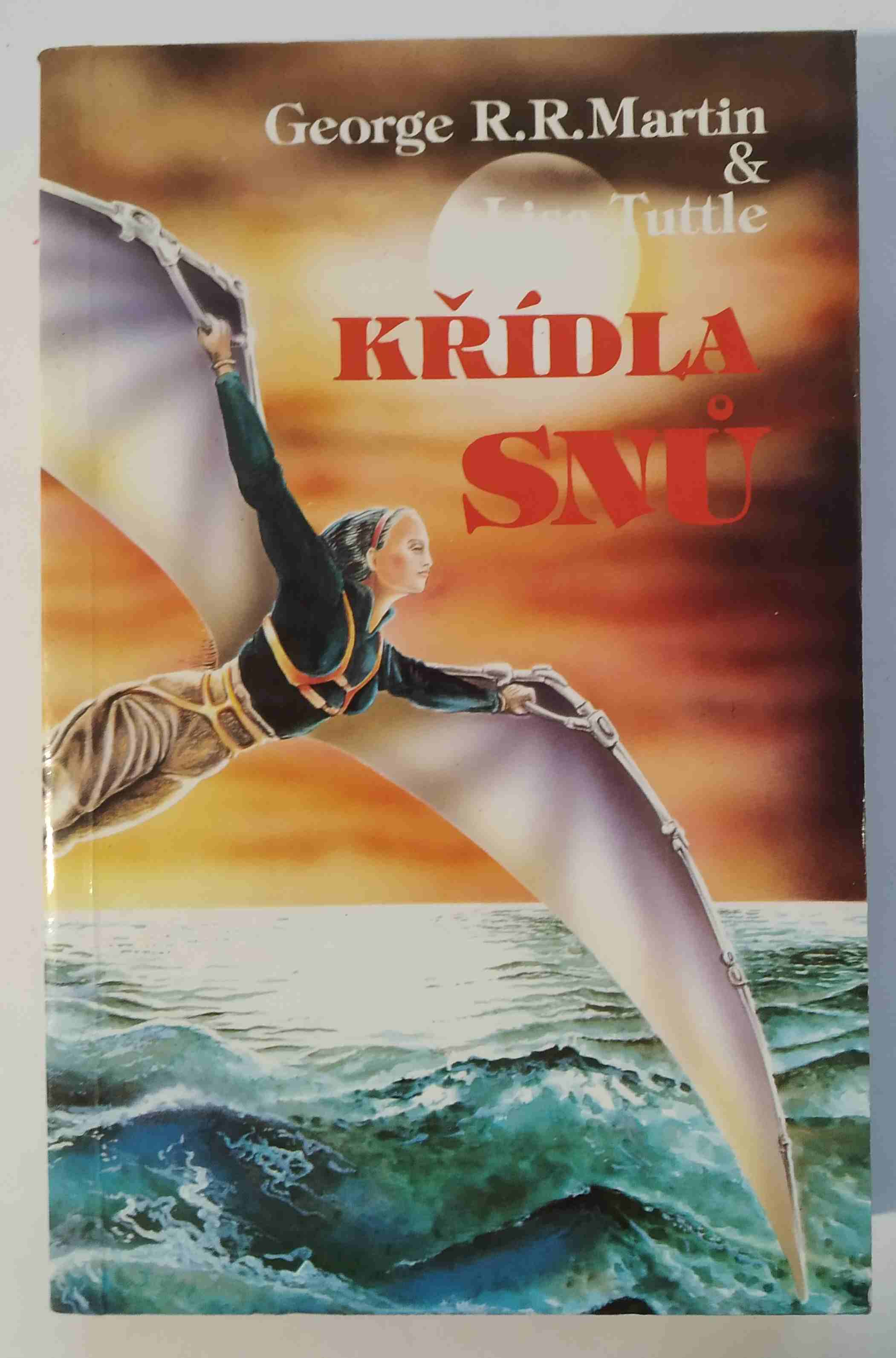 Křídla snů