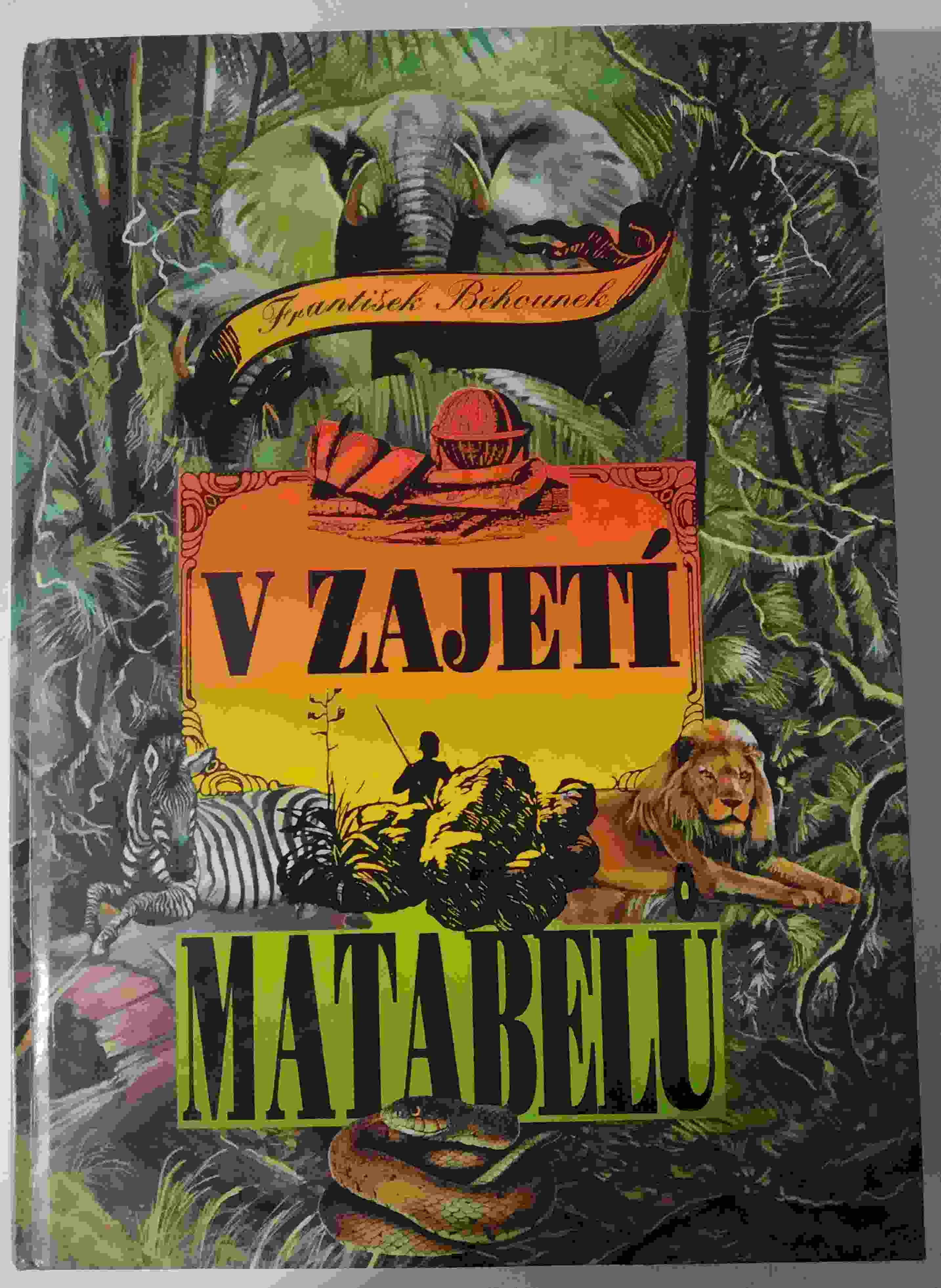 V zajetí Matabelů
