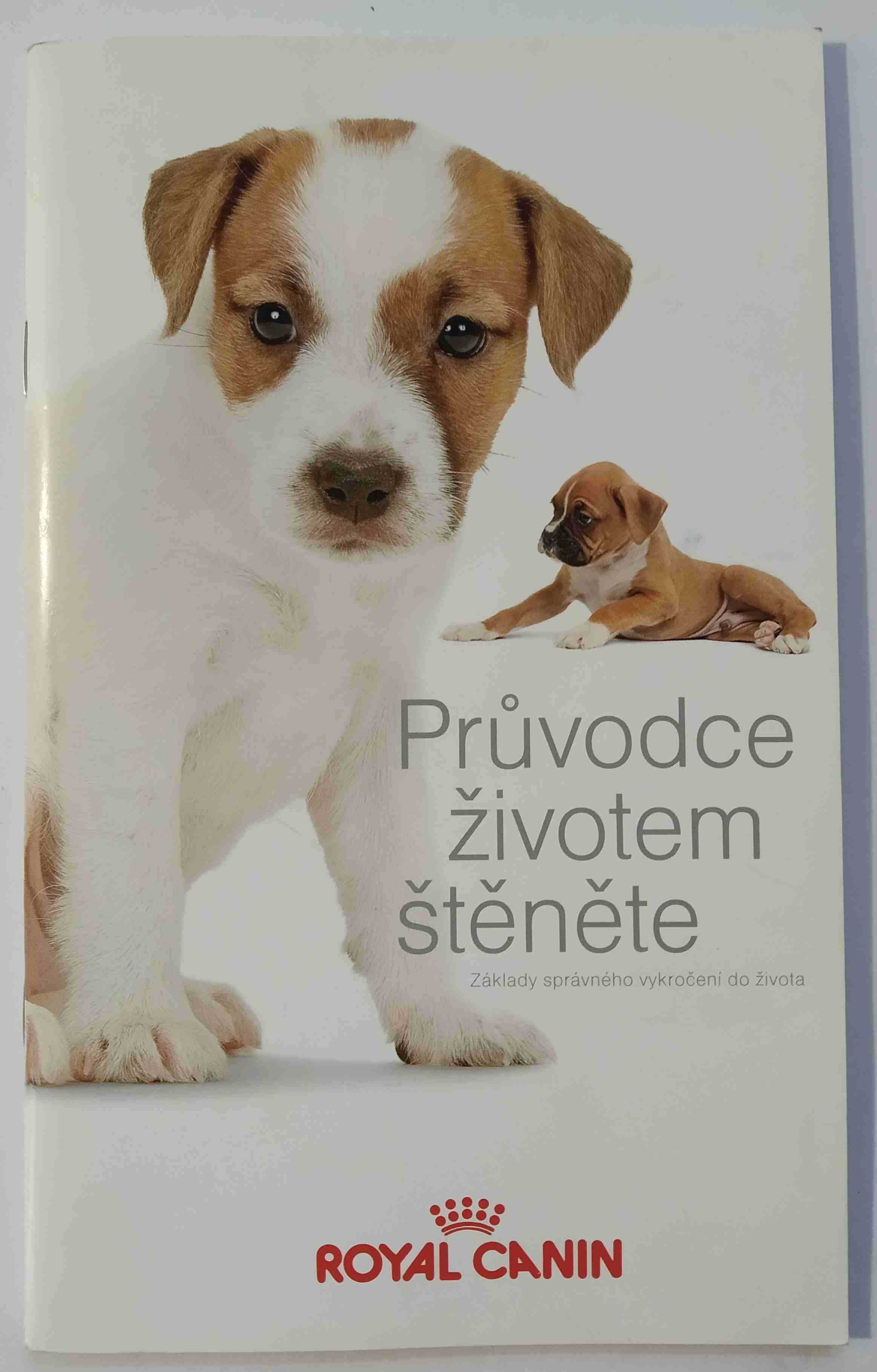 Průvodce životem štěněte 