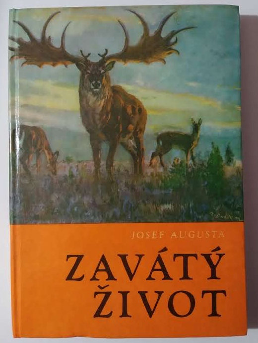 Zavátý život