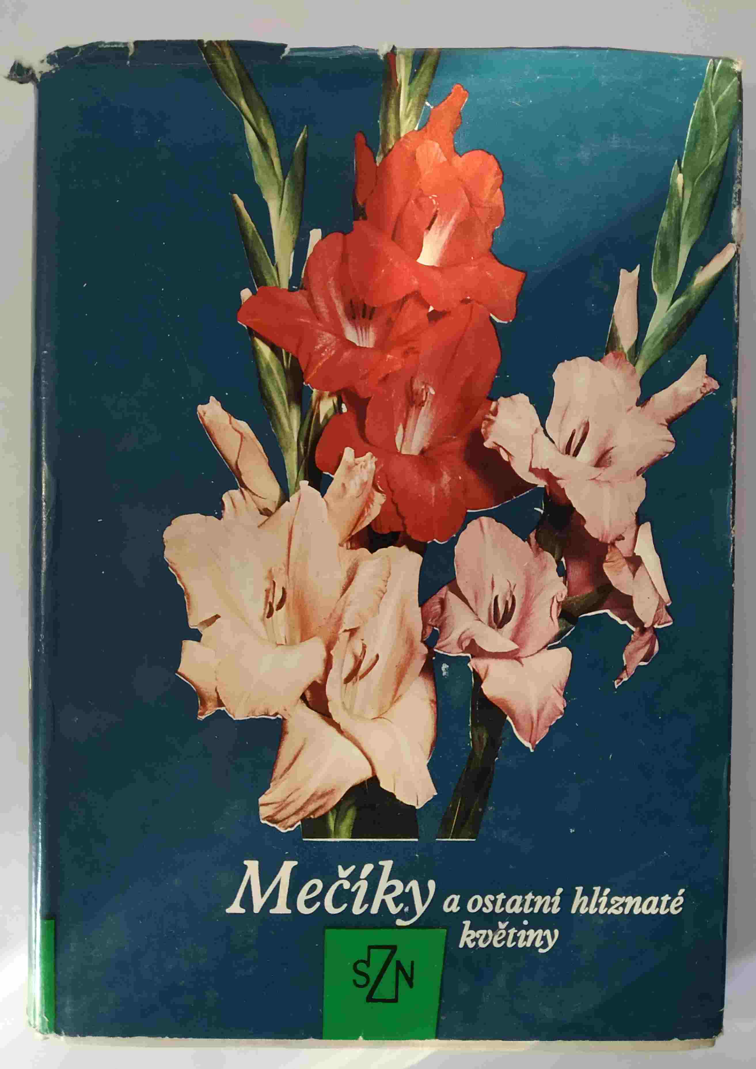 Mečíky a ostatní hlíznaté květiny