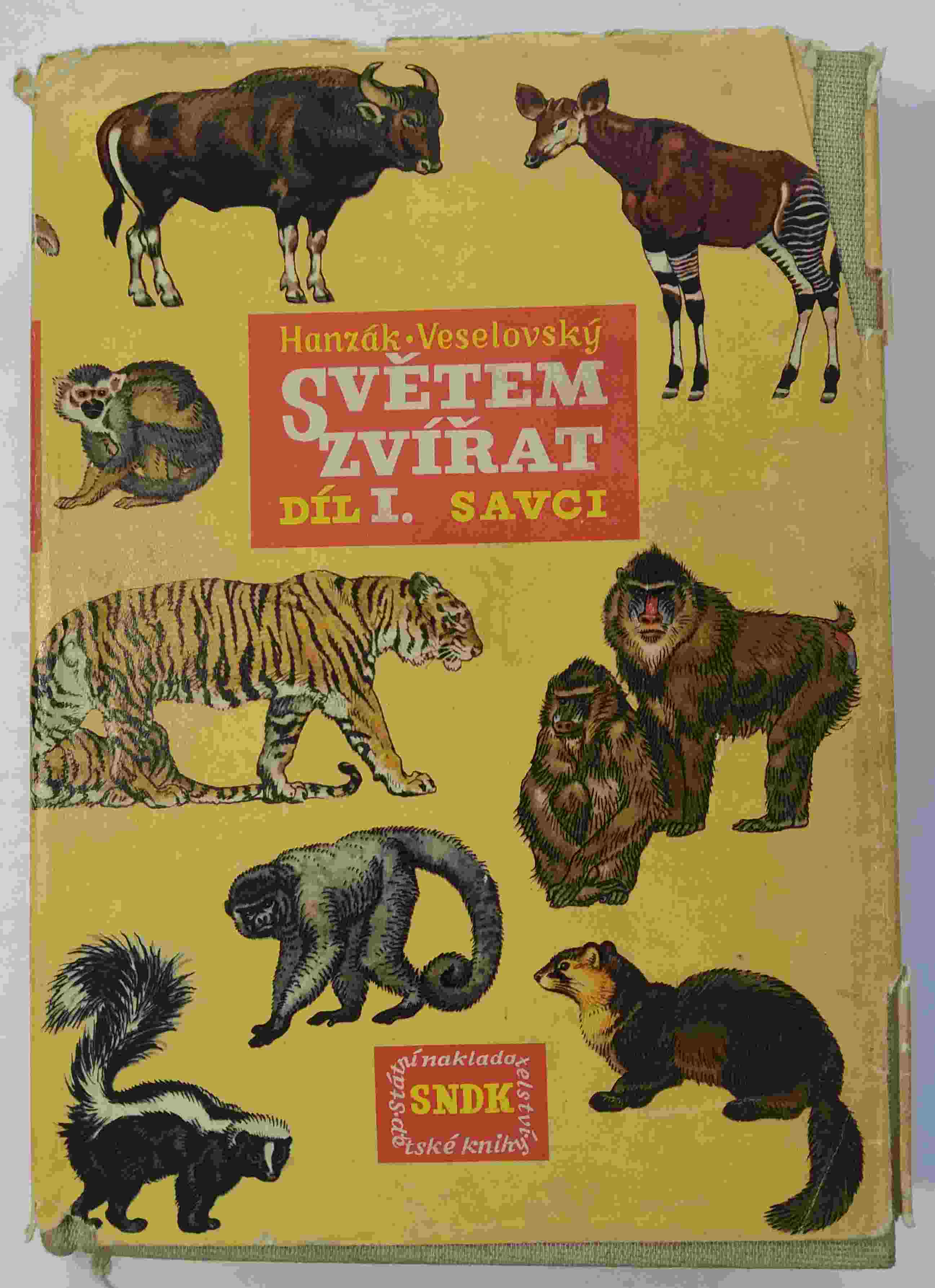 Světem zvířat - díl I. Savci