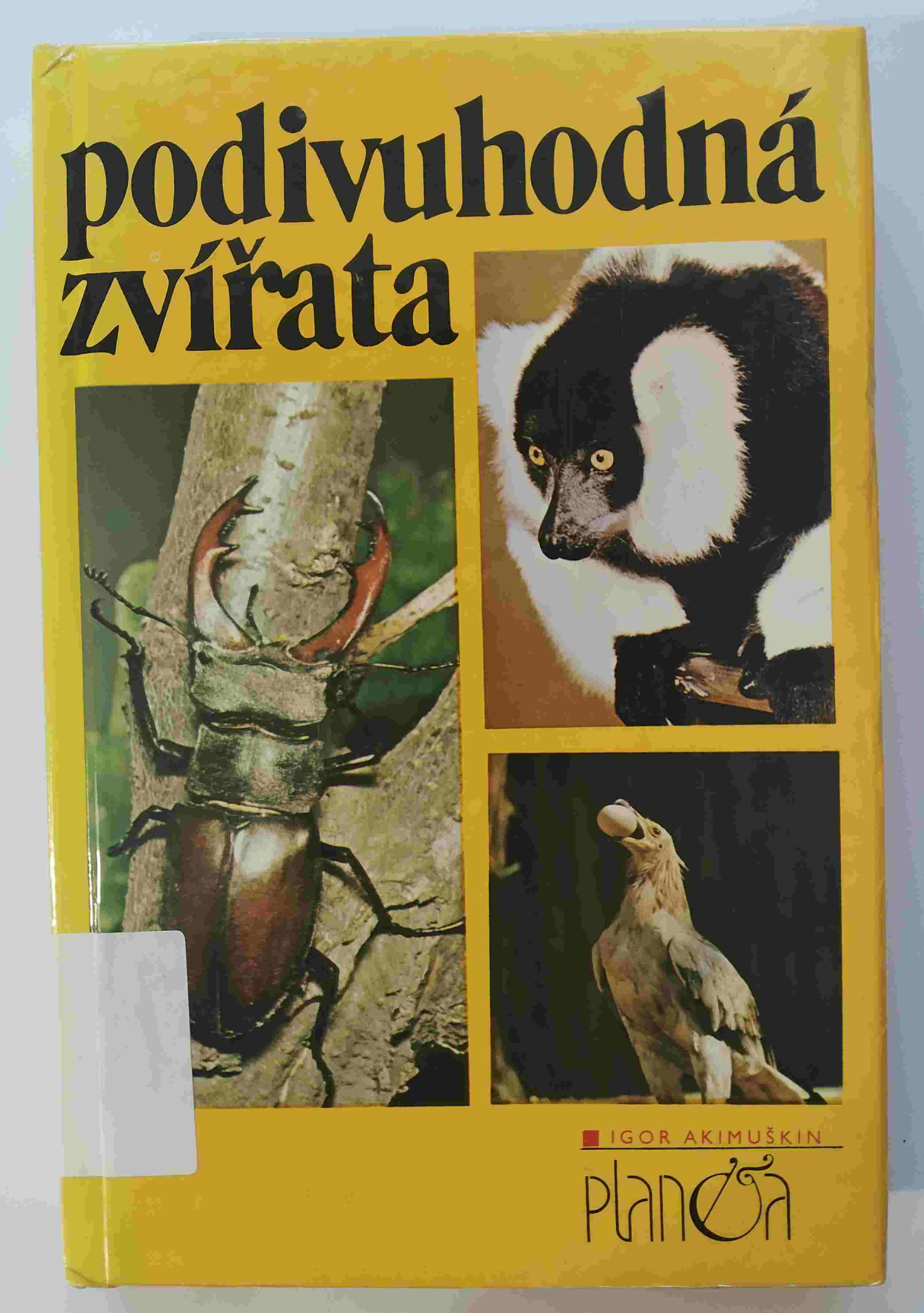 Podivuhodná zvířata