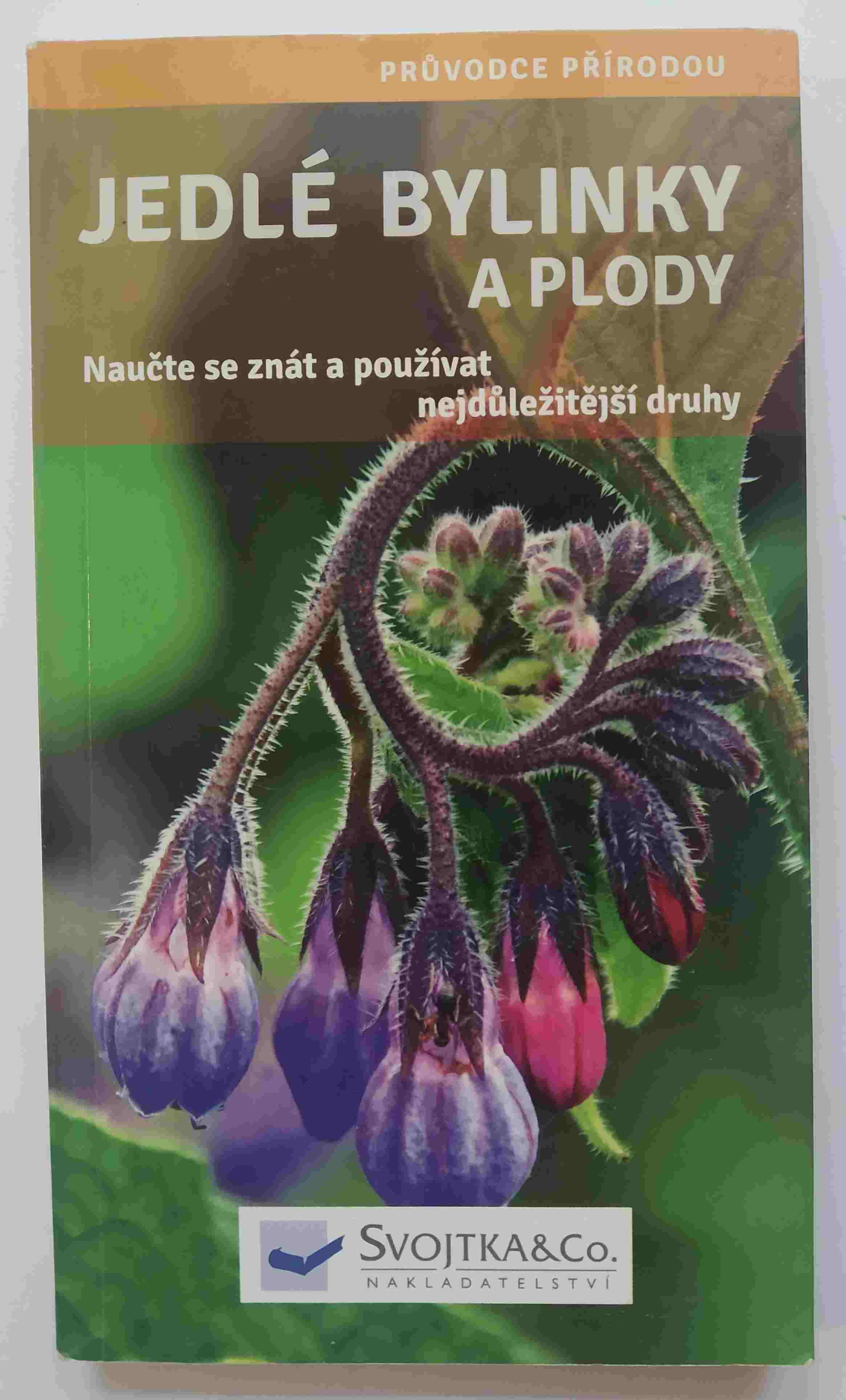 Jedlé bylinky a plody