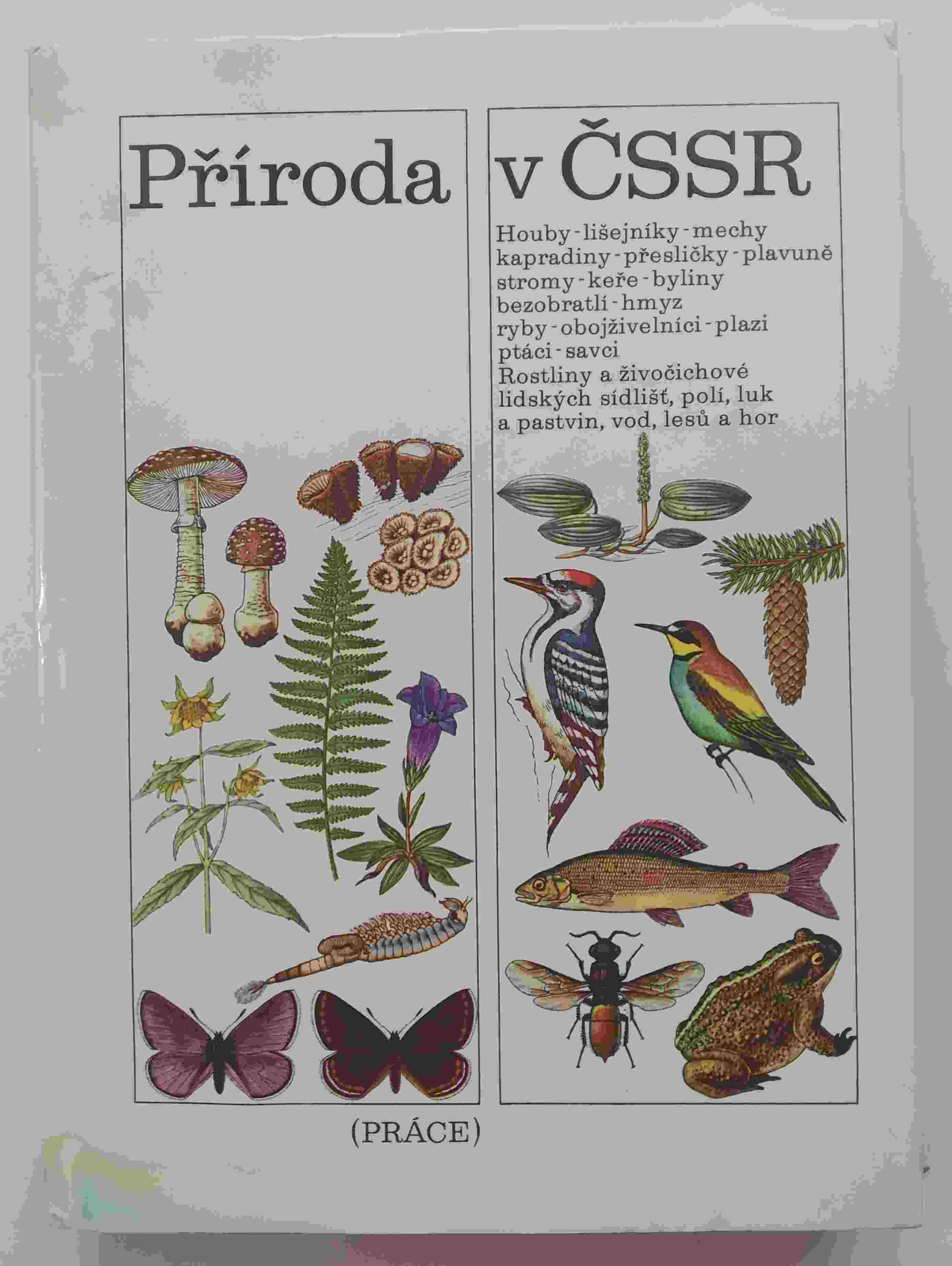 Příroda v ČSSR