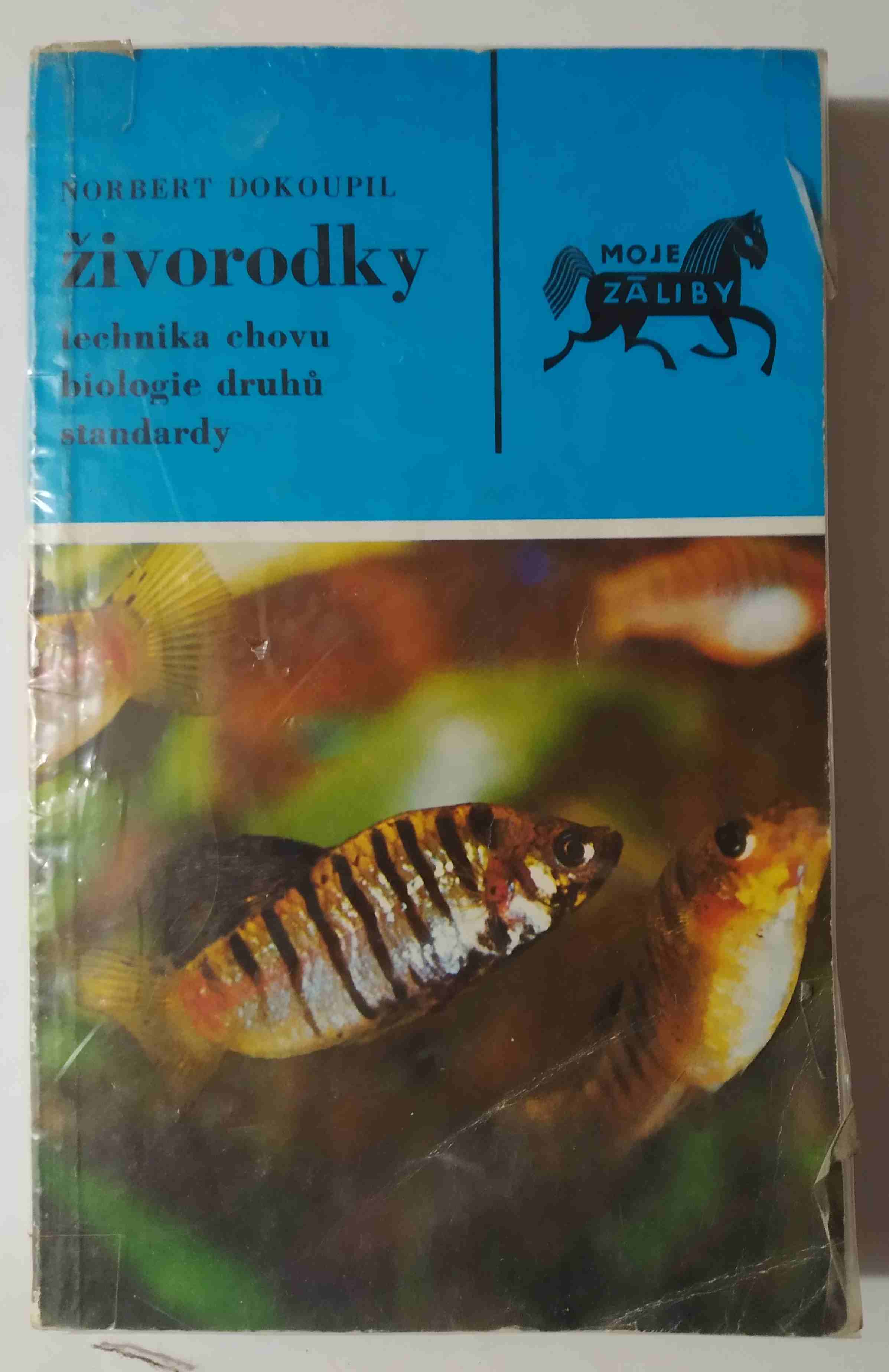 Živorodky