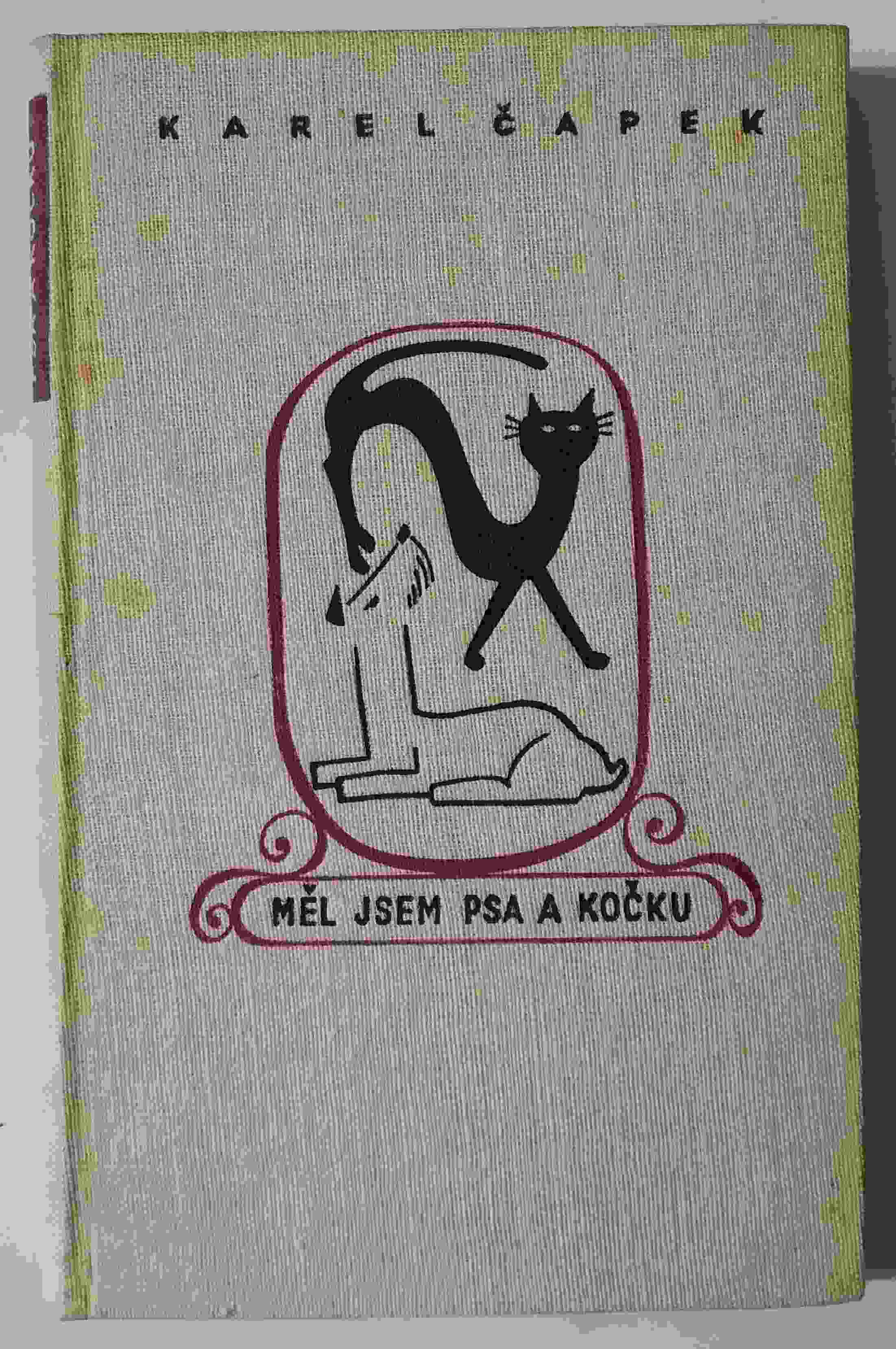 Měl jsem psa a kočku