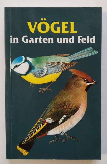 VÖGEL in Garten und Feld