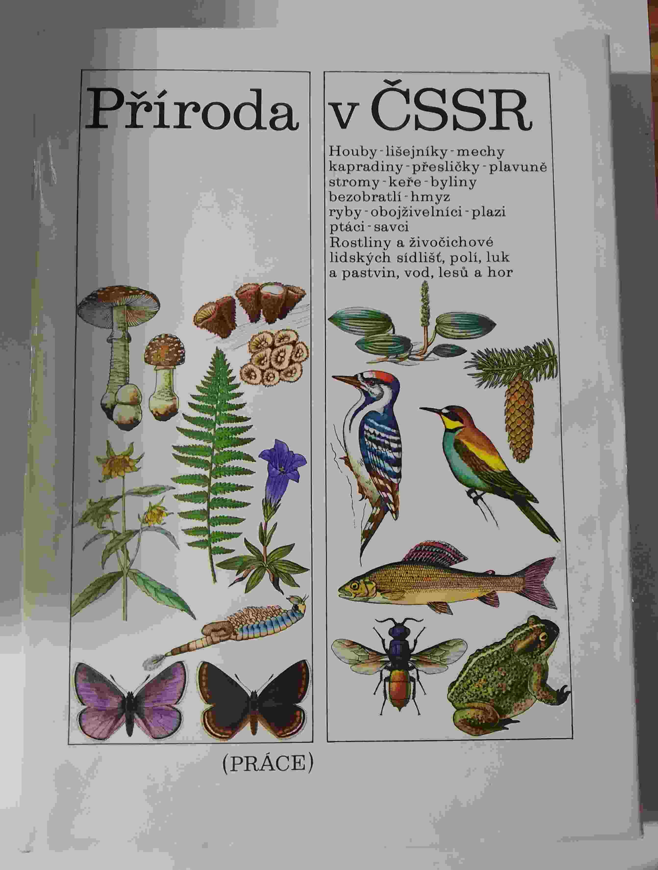 Příroda v ČSSR