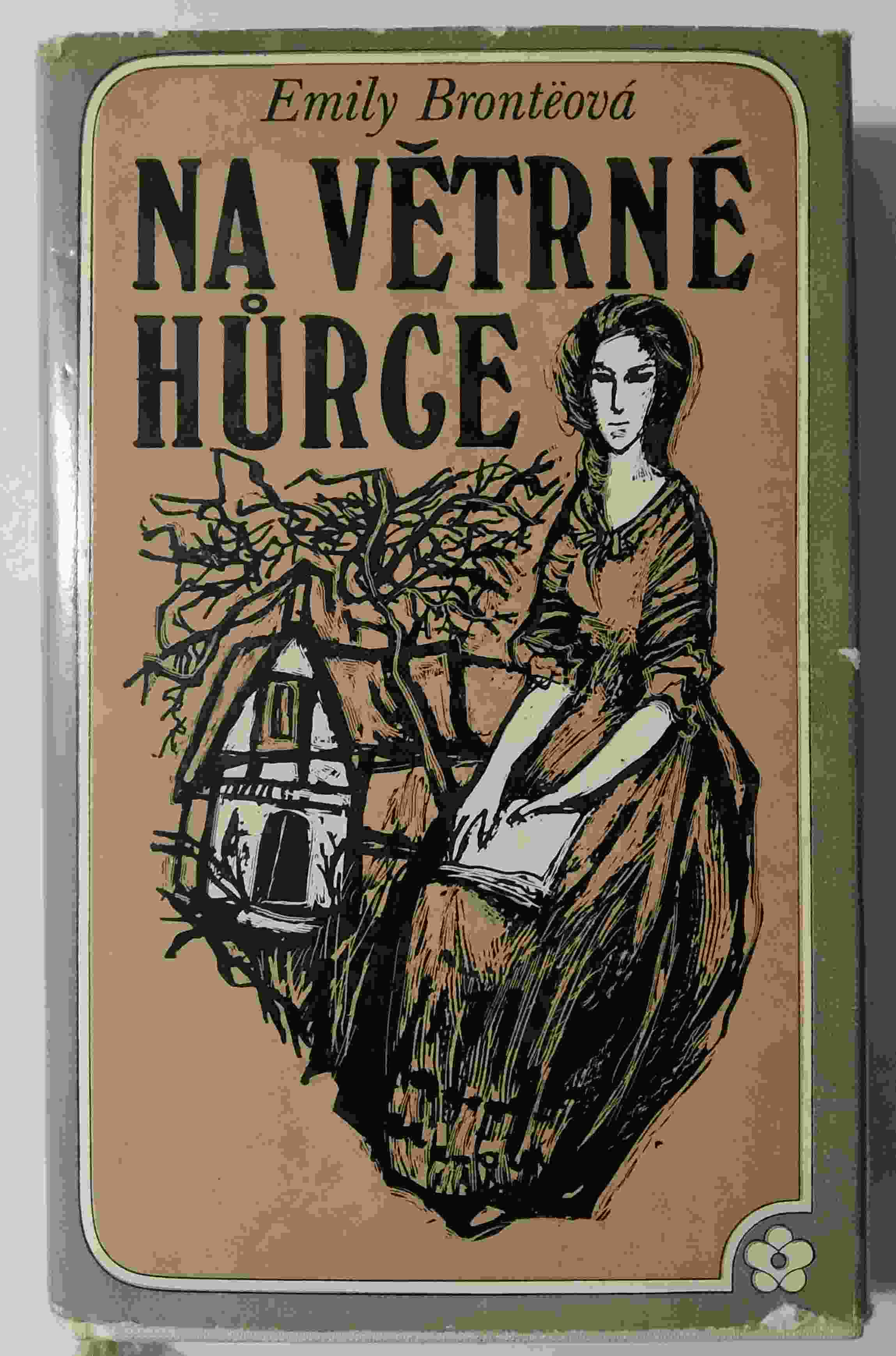 Na větrné hůrce