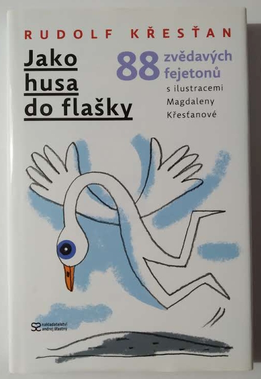 Jako husa do flašky