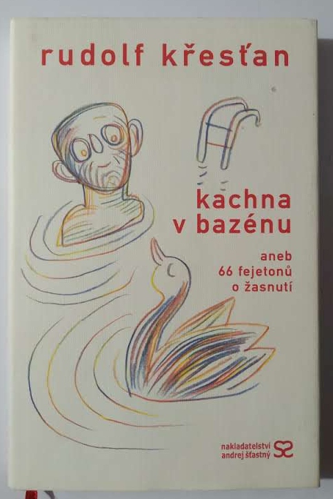 Kachna v bazénu