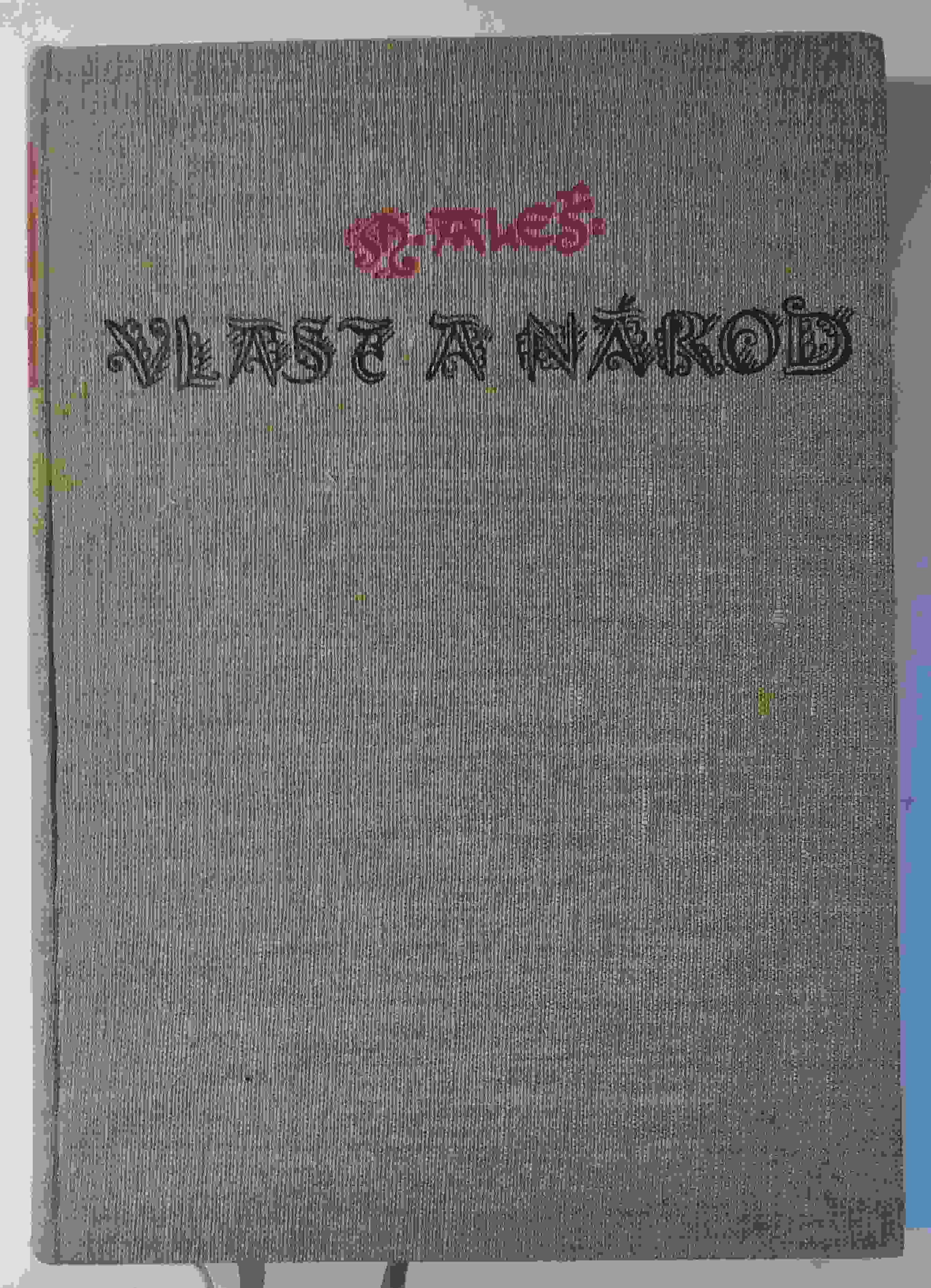 Vlast a národ
