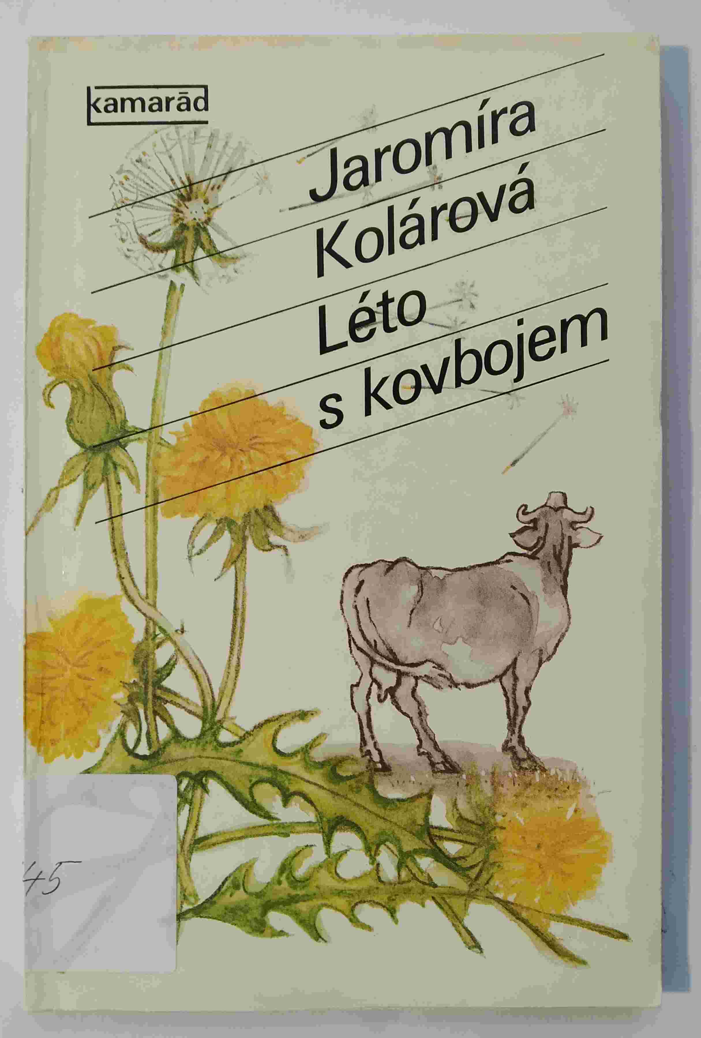 Léto s kovbojem
