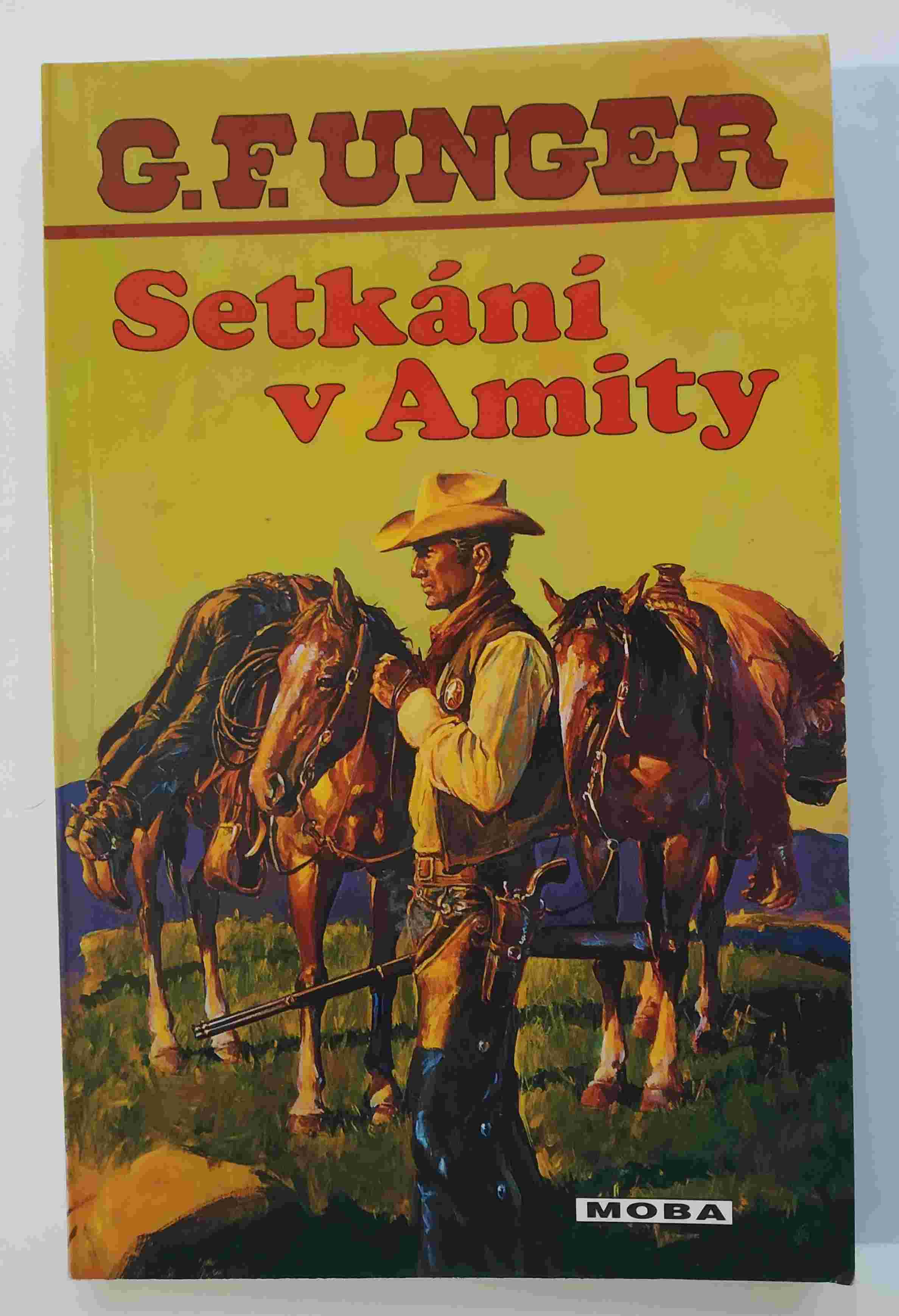 Setkání v Amity