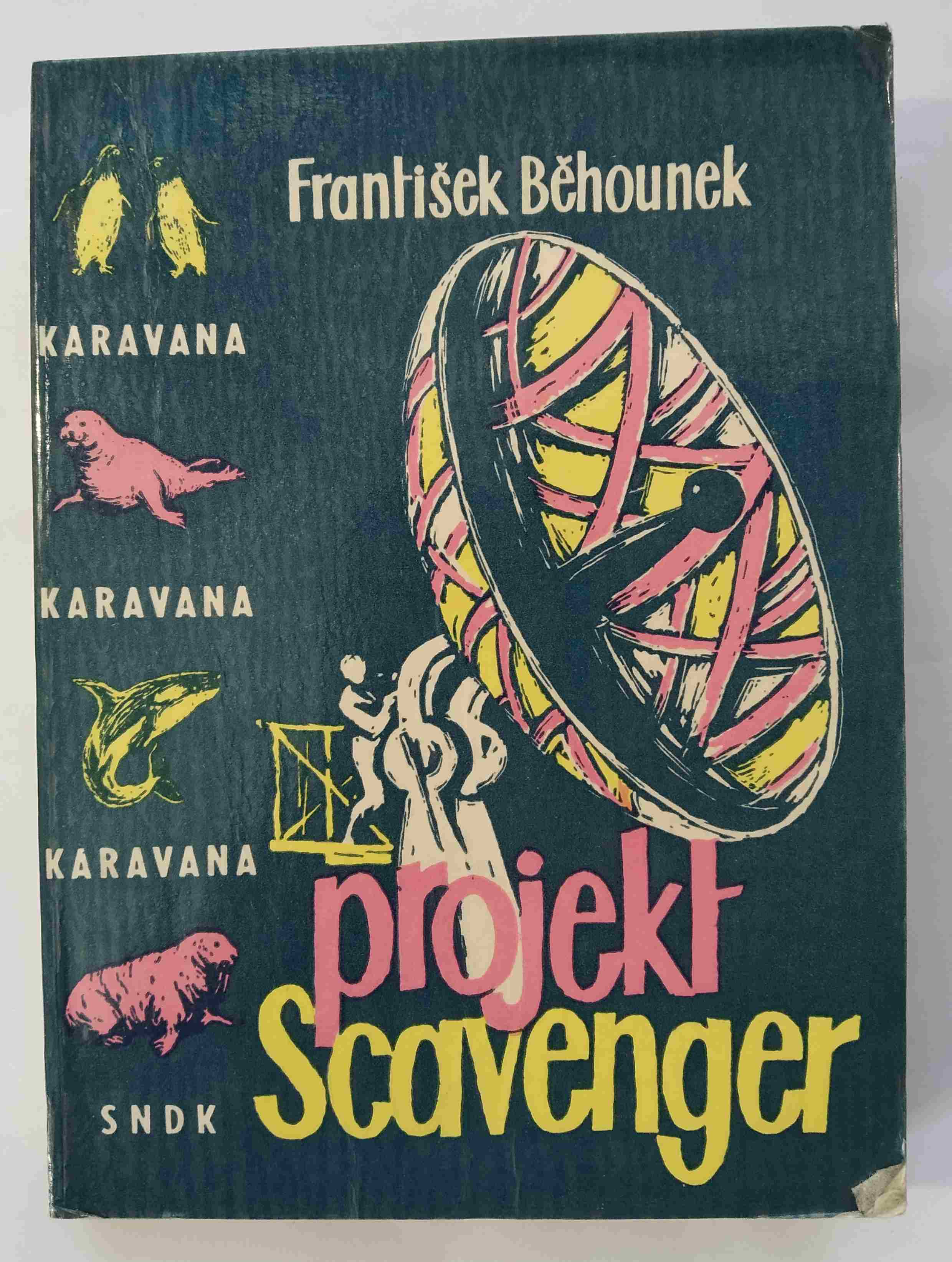 Projekt Scavenger