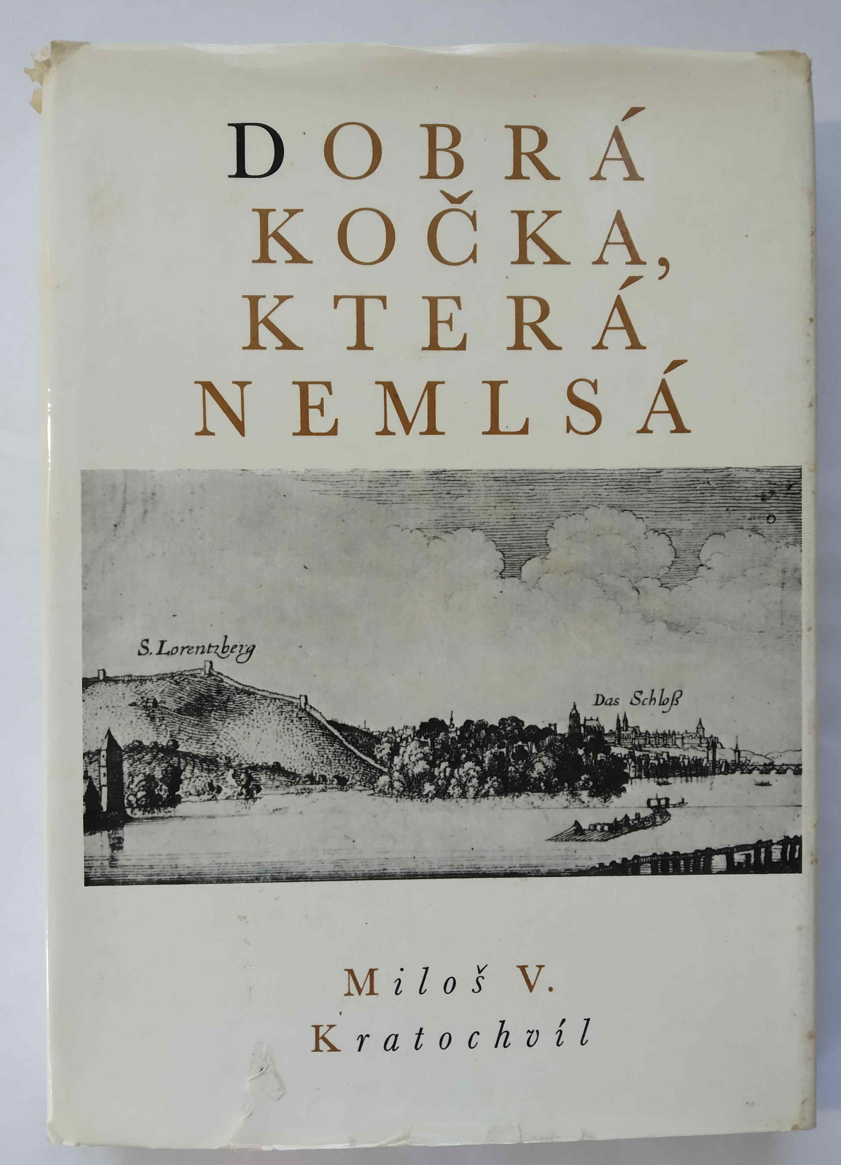 Dobrá kočka, která nemlsá