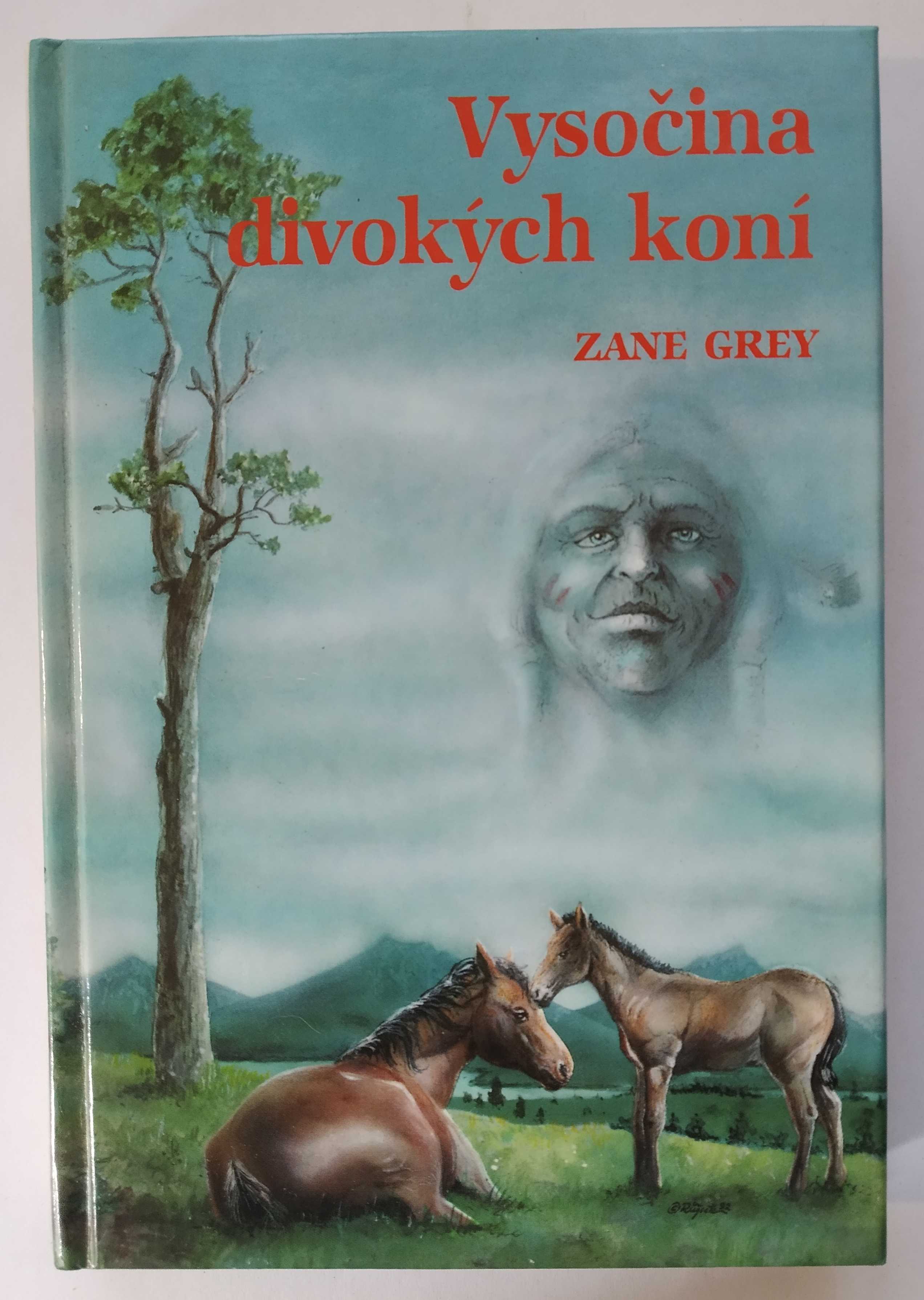 Vysočina divokých koní