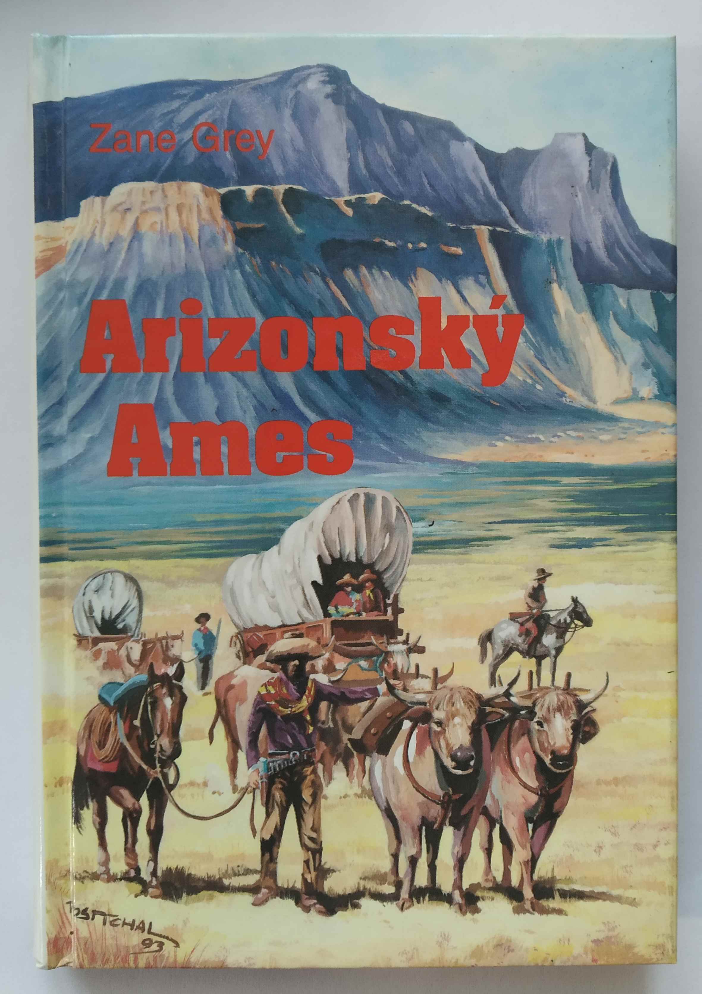 Arizonský Ames