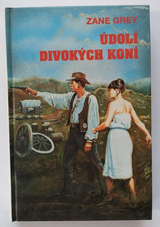 Údolí divokých koní