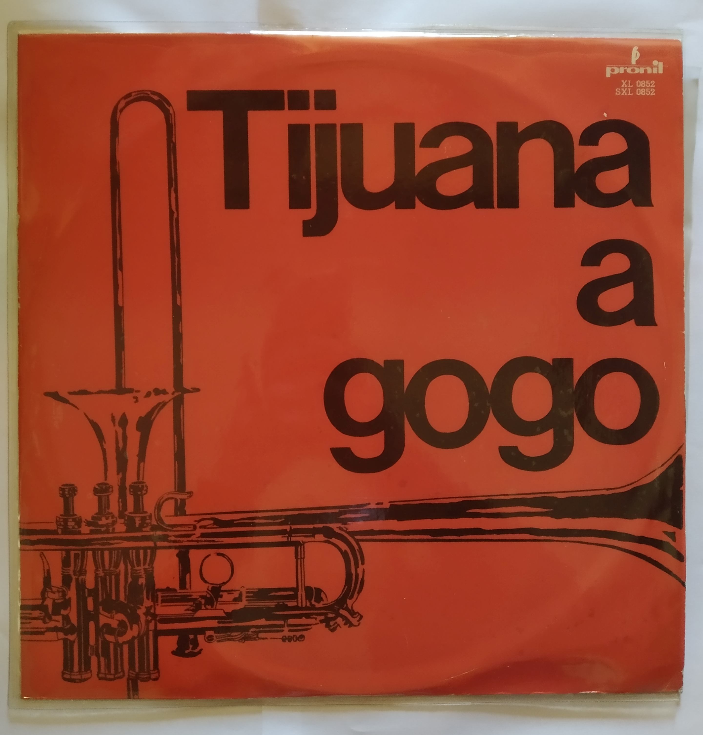Tijuana a Gogo