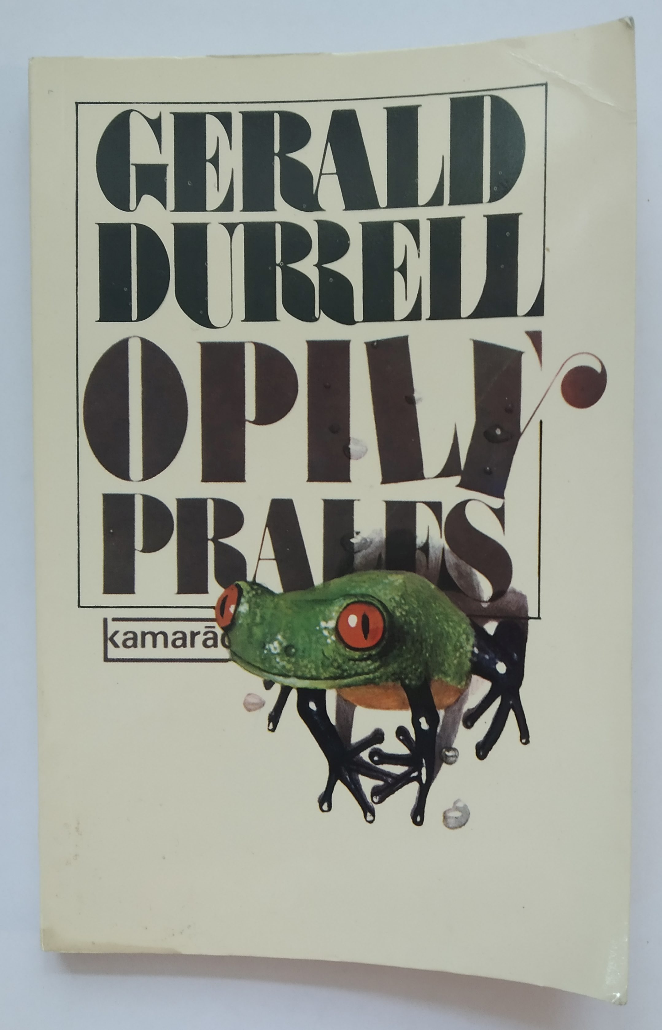 Opilý prales