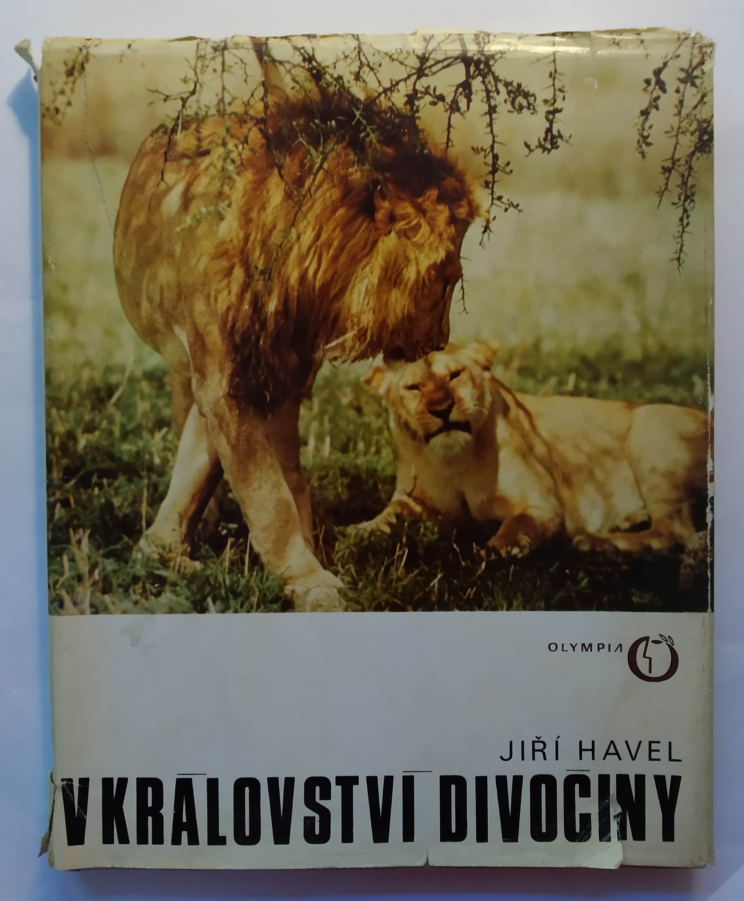 V království divočiny