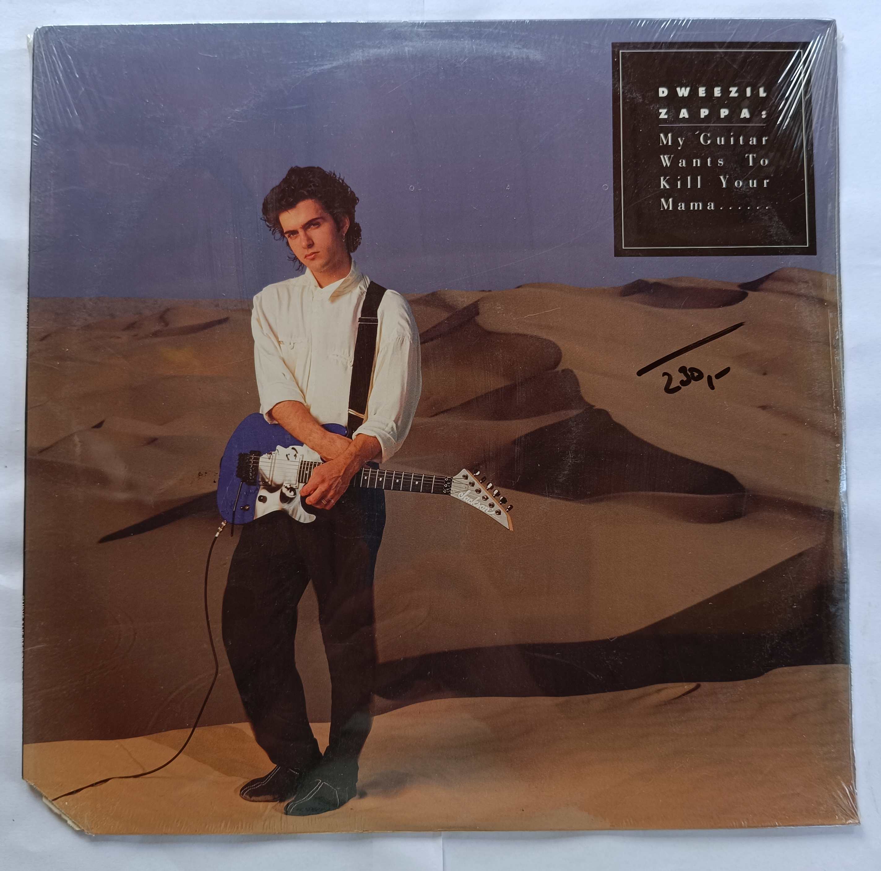 Dweezil Zappa
